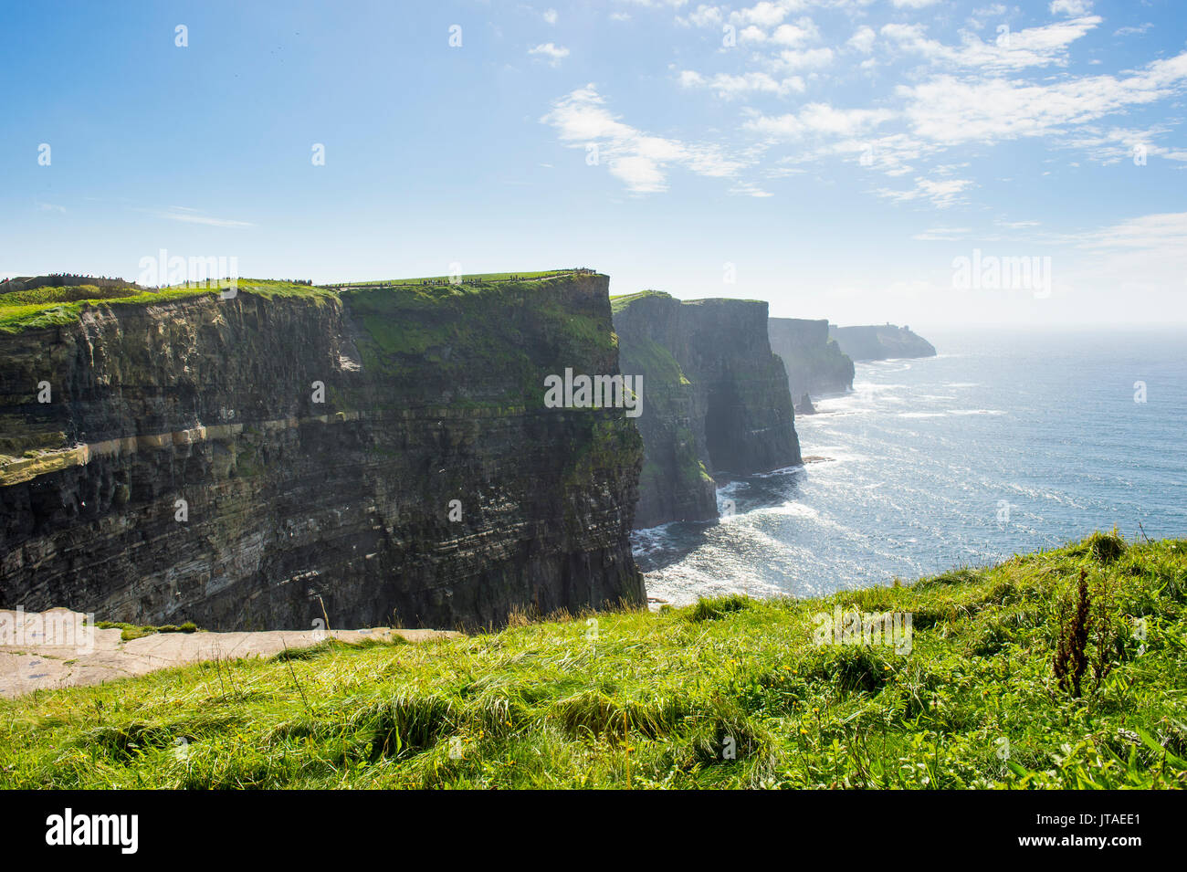 Los Acantilados de Moher, el Burren, en el condado de Clare, Munster, República de Irlanda, Europa Foto de stock