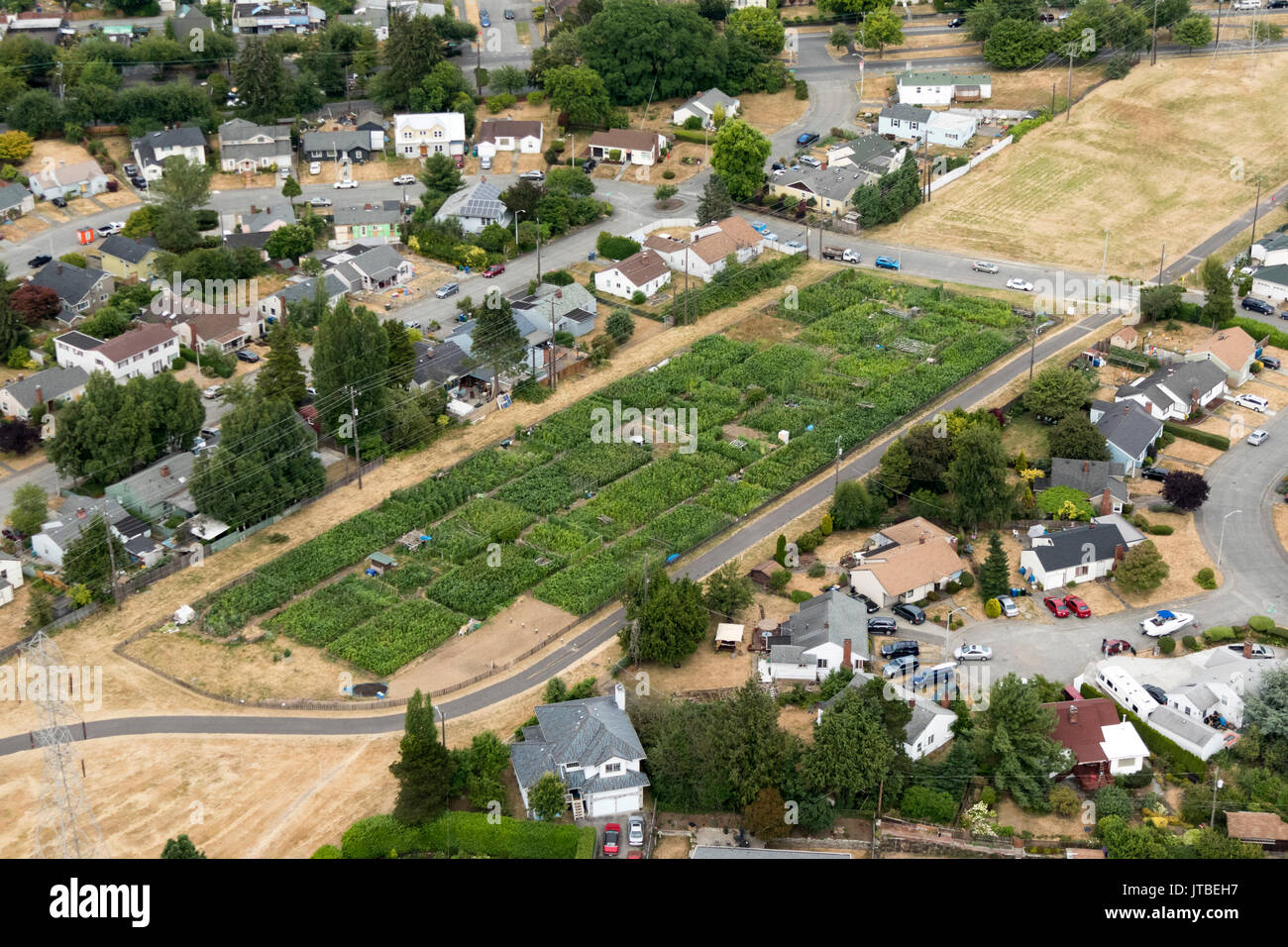 Vista aérea de Maa Nyei Lai Ndeic P-Patch Jardín Comunitario, 4913 Columbia Dr S, Seattle, WA, EE.UU. Foto de stock