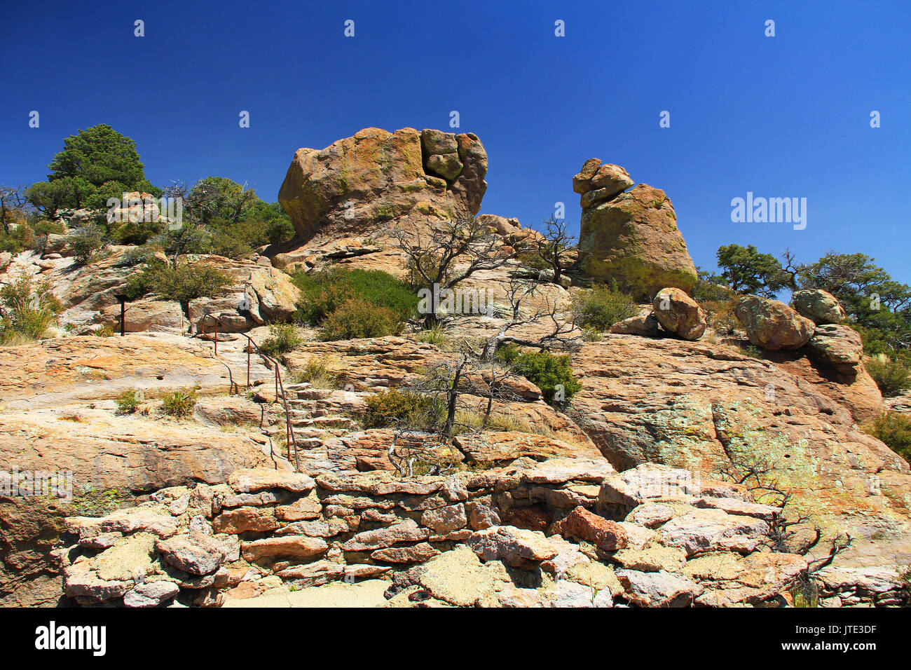 Massai punto rock hoodoos formación en Echo Canyon, el Monumento Nacional Chiricahua cerca de Wilcox, en el sur de Arizona, Estados Unidos. Foto de stock