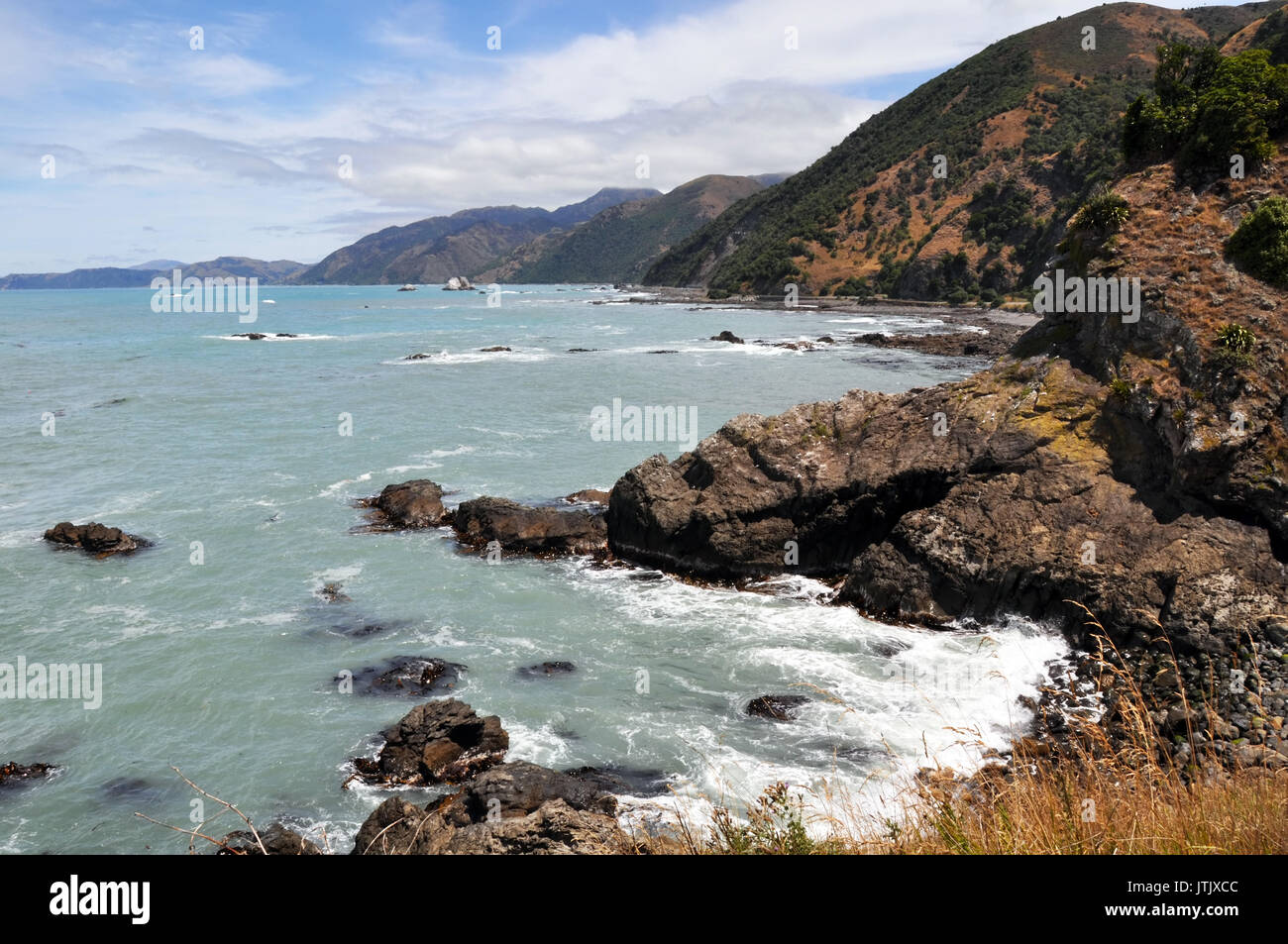 La costa rocosa de Kaikoura, mirando al sur hacia Christchurch. Una popular colonia de focas y ballenas como destino turístico en la costa oriental de la Foto de stock