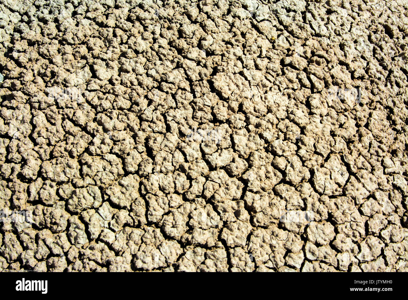 La masa seca en el desierto Foto de stock