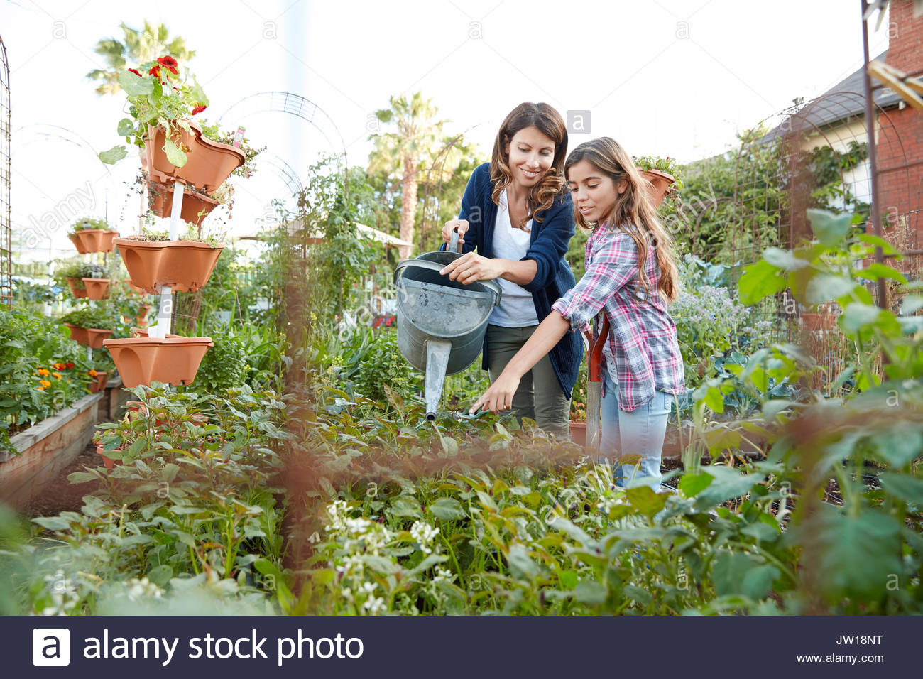 Madre e hija latinas regar las plantas en el huerto Foto de stock