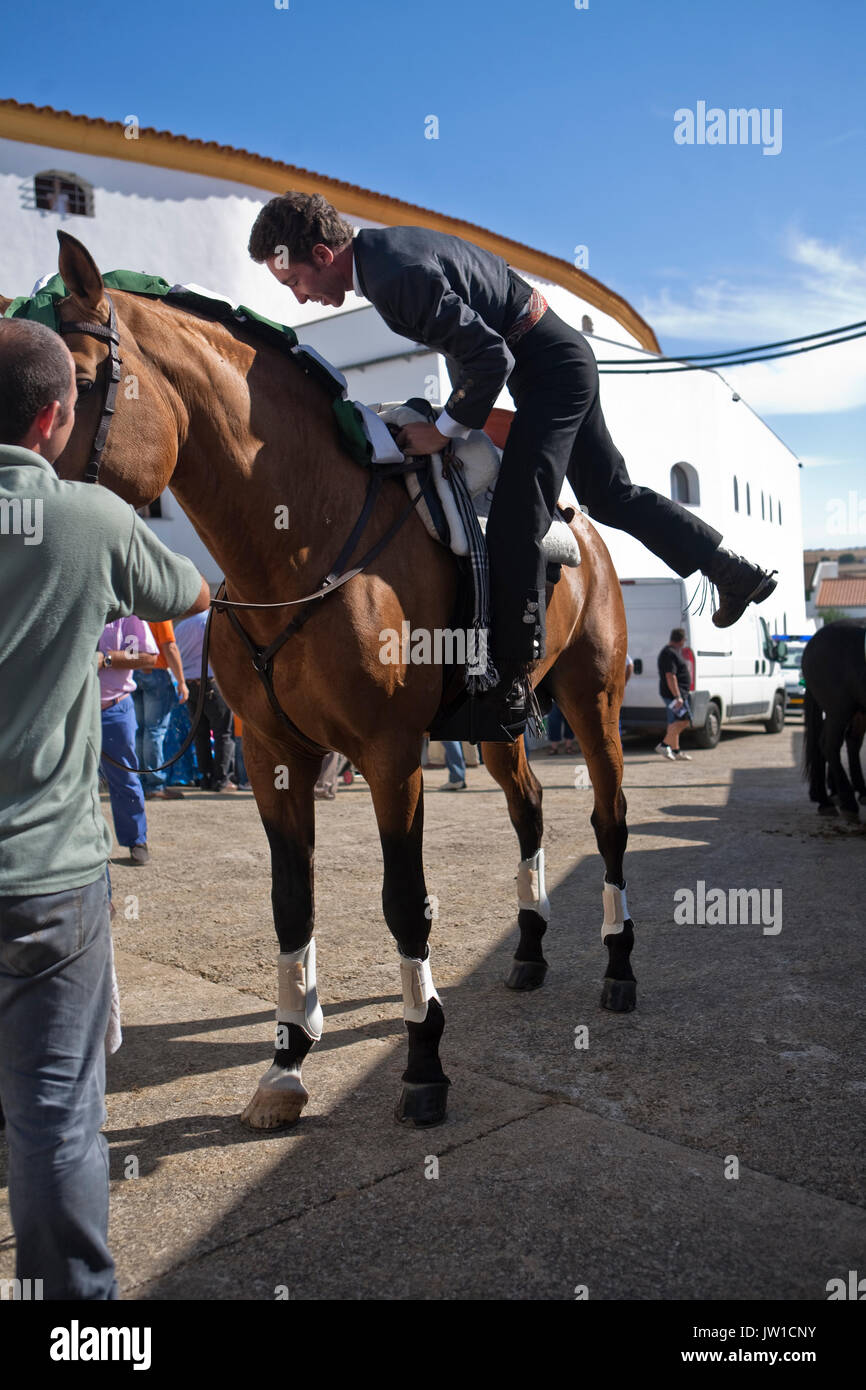 Español Rejoneador Leonardo Hernández se monta a caballo en el callejón de  la plaza de toros de Pozoblanco, Andalucía, España Fotografía de stock -  Alamy