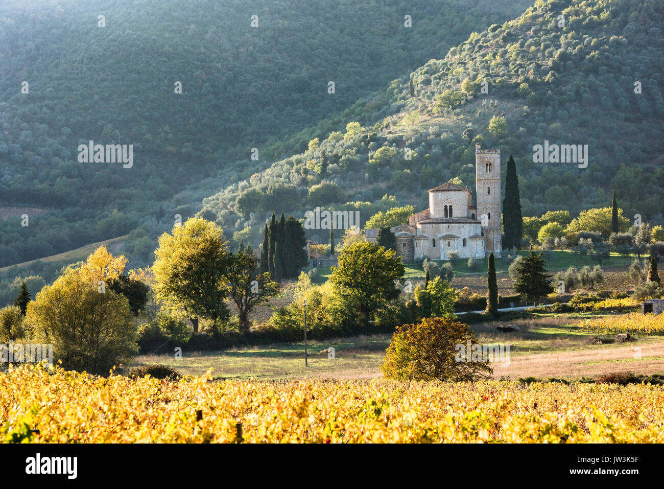 Italia, Toscana, Montalcino, Abadía de Sant'Antimo cerca de Montalcino contra verdes colinas Foto de stock
