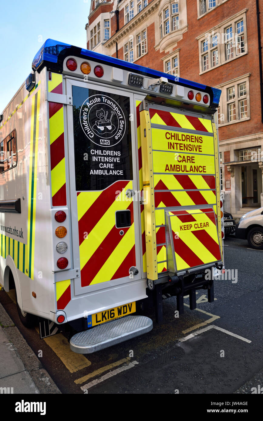 Servicio de transporte aguda de niños, gatos, ambulancia de cuidados intensivos visto desde la parte trasera Foto de stock