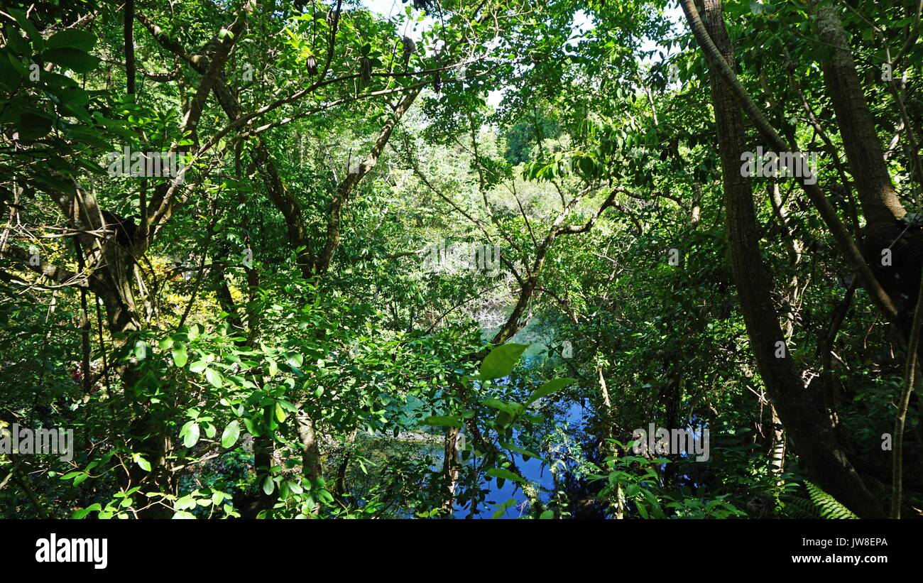 Salvaje paisaje tropical en la laguna línea zipi Foto de stock
