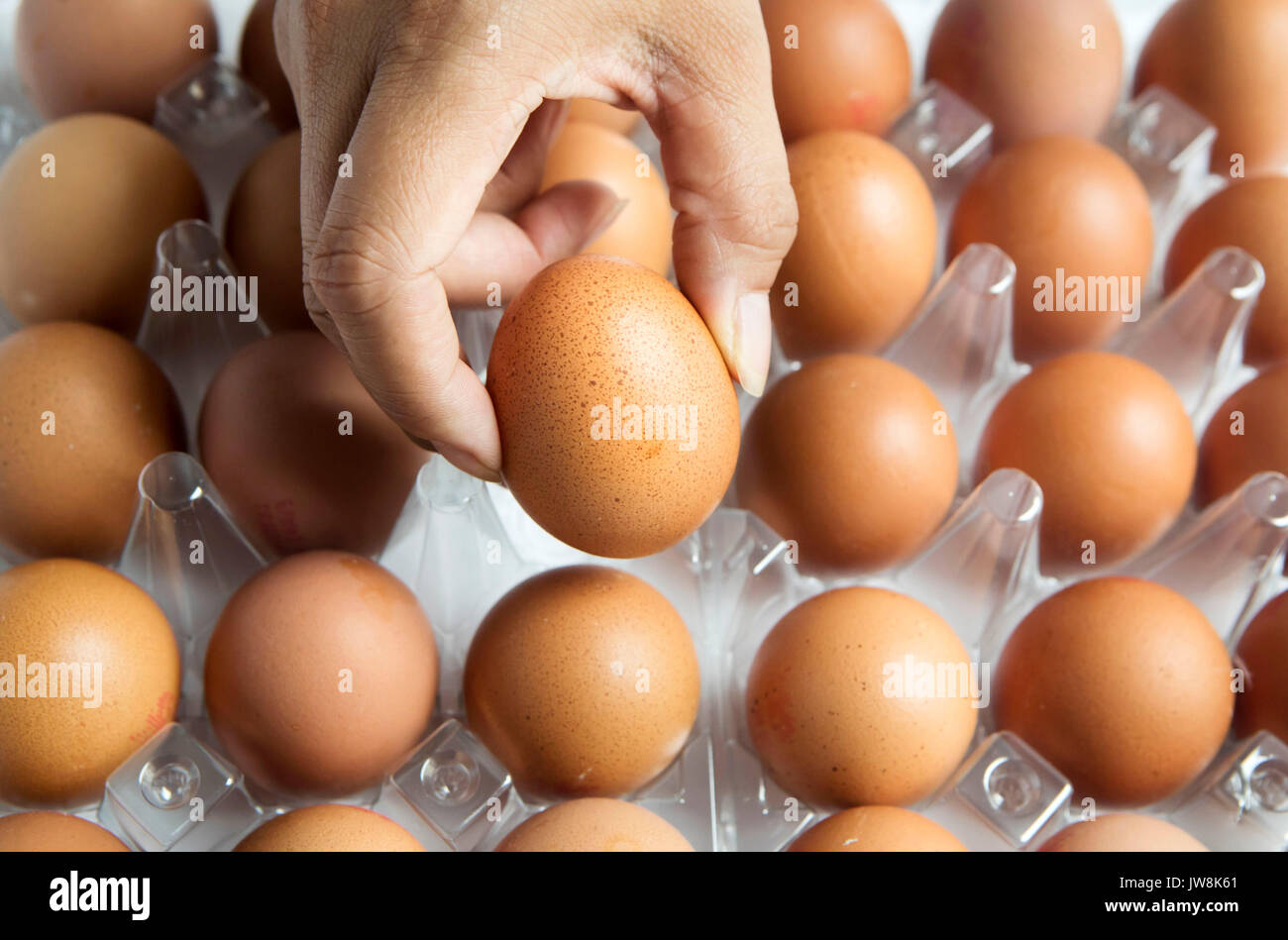 Una caja de huevos como cuatro supermercados han tomado productos fuera de sus estanterías a raíz de la contaminación del huevo susto - como el Organismo de Normas Alimentarias dice que la magnitud del problema es mayor de lo que se pensaba anteriormente. Foto de stock
