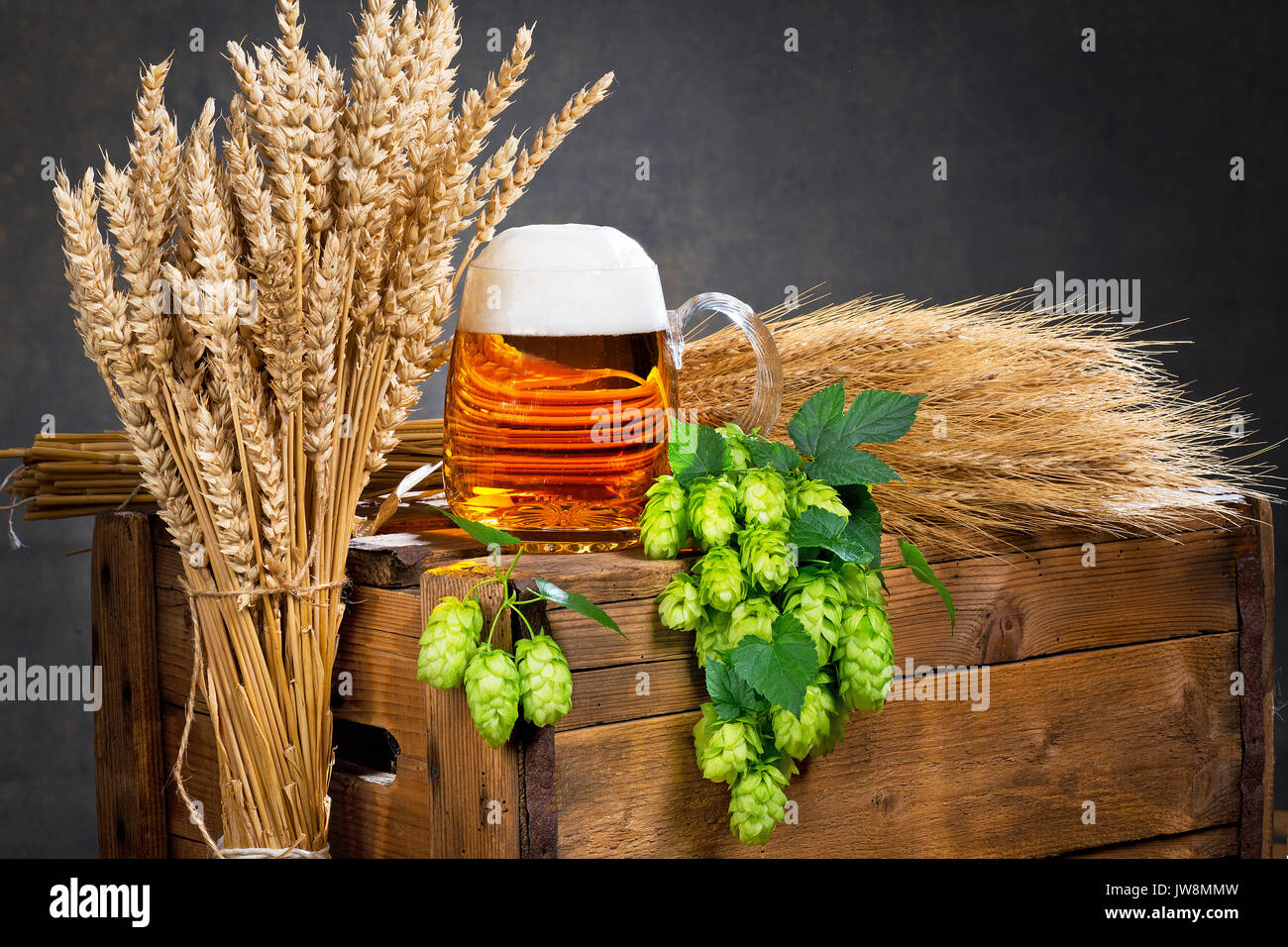 Vaso de cerveza y materia prima para la producción de cerveza Fotografía de  stock - Alamy