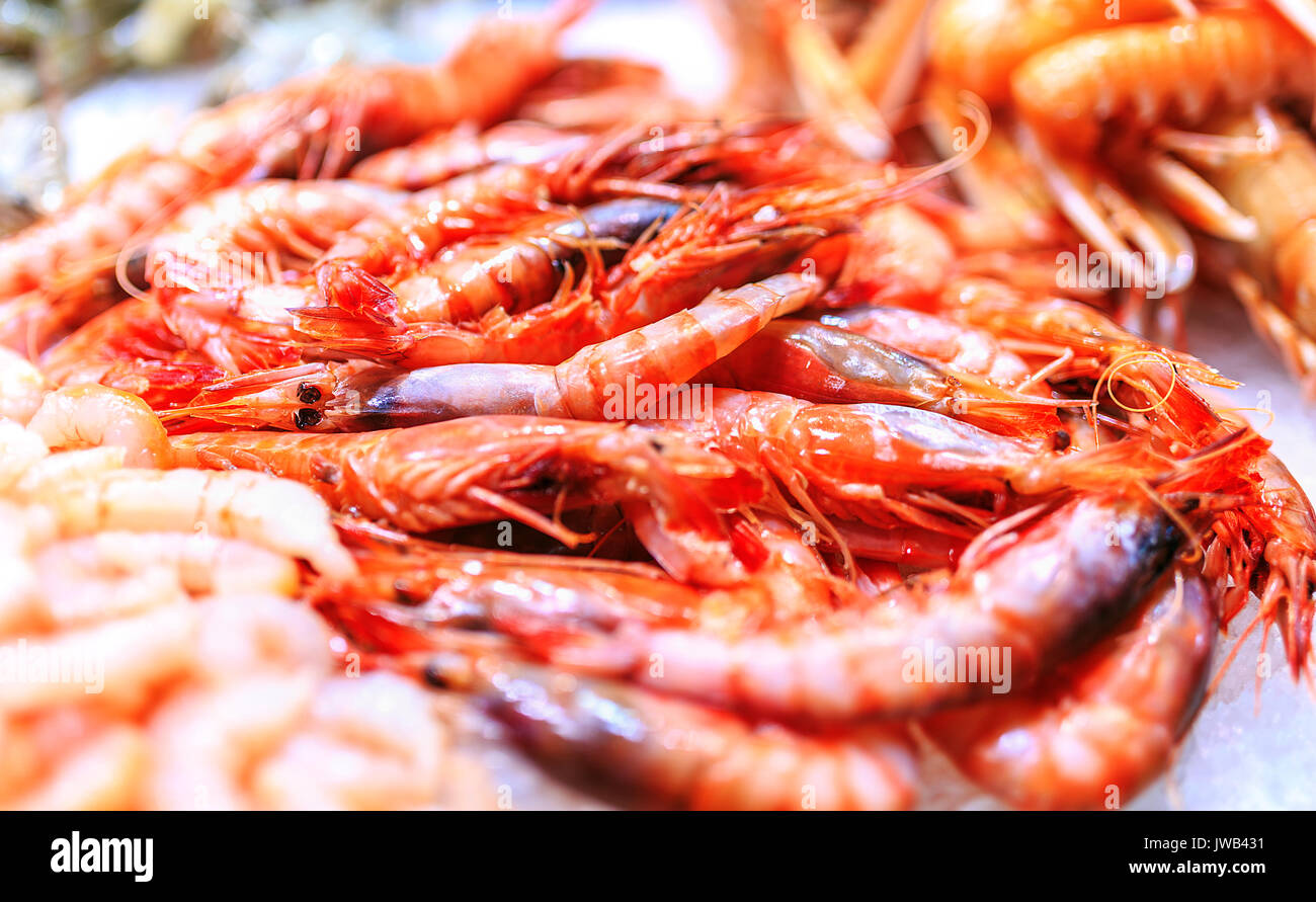 Marisco fresco en un mercado alimentario de Barcelona Foto de stock