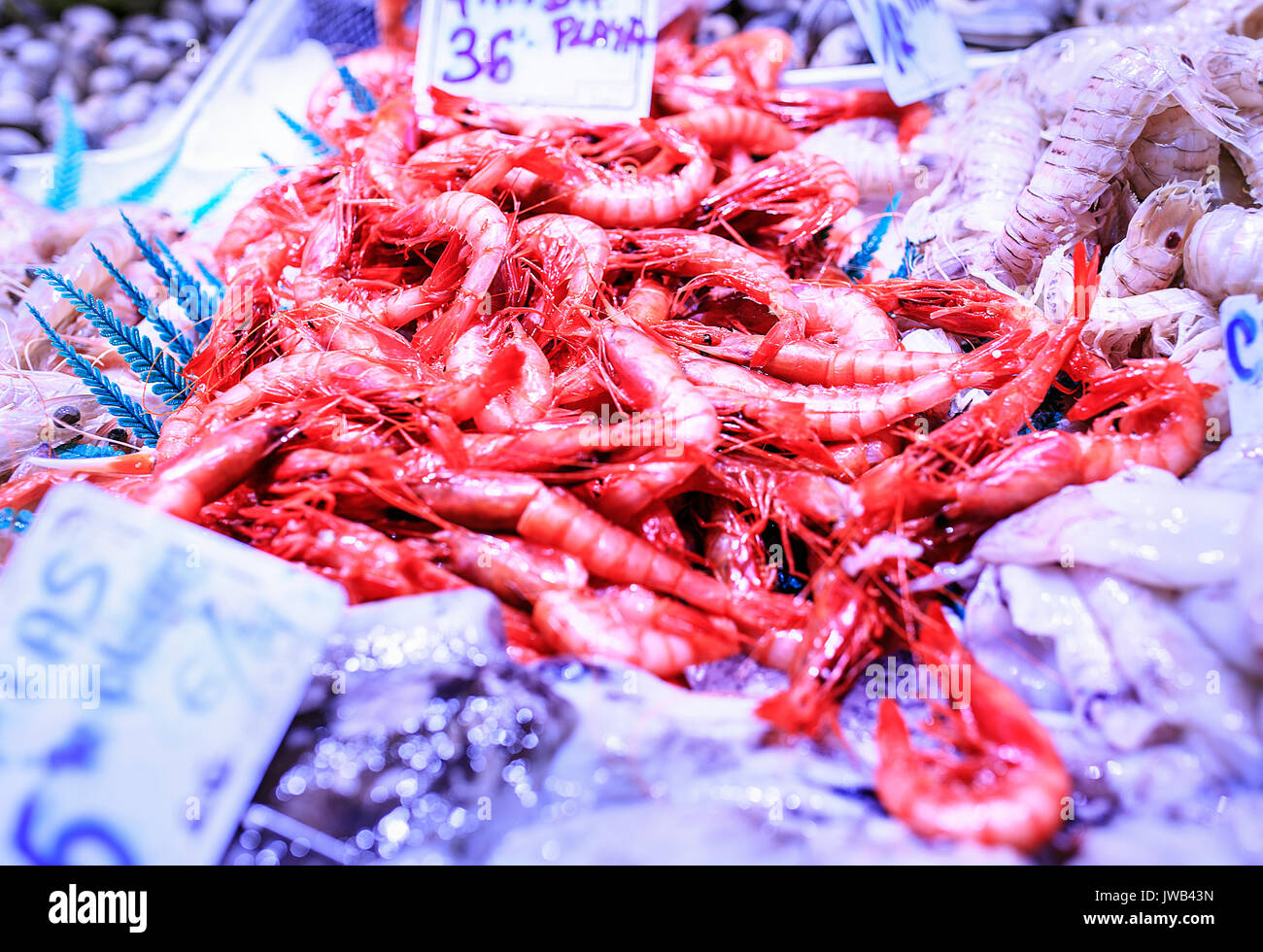 Marisco fresco en un mercado alimentario de Barcelona Foto de stock