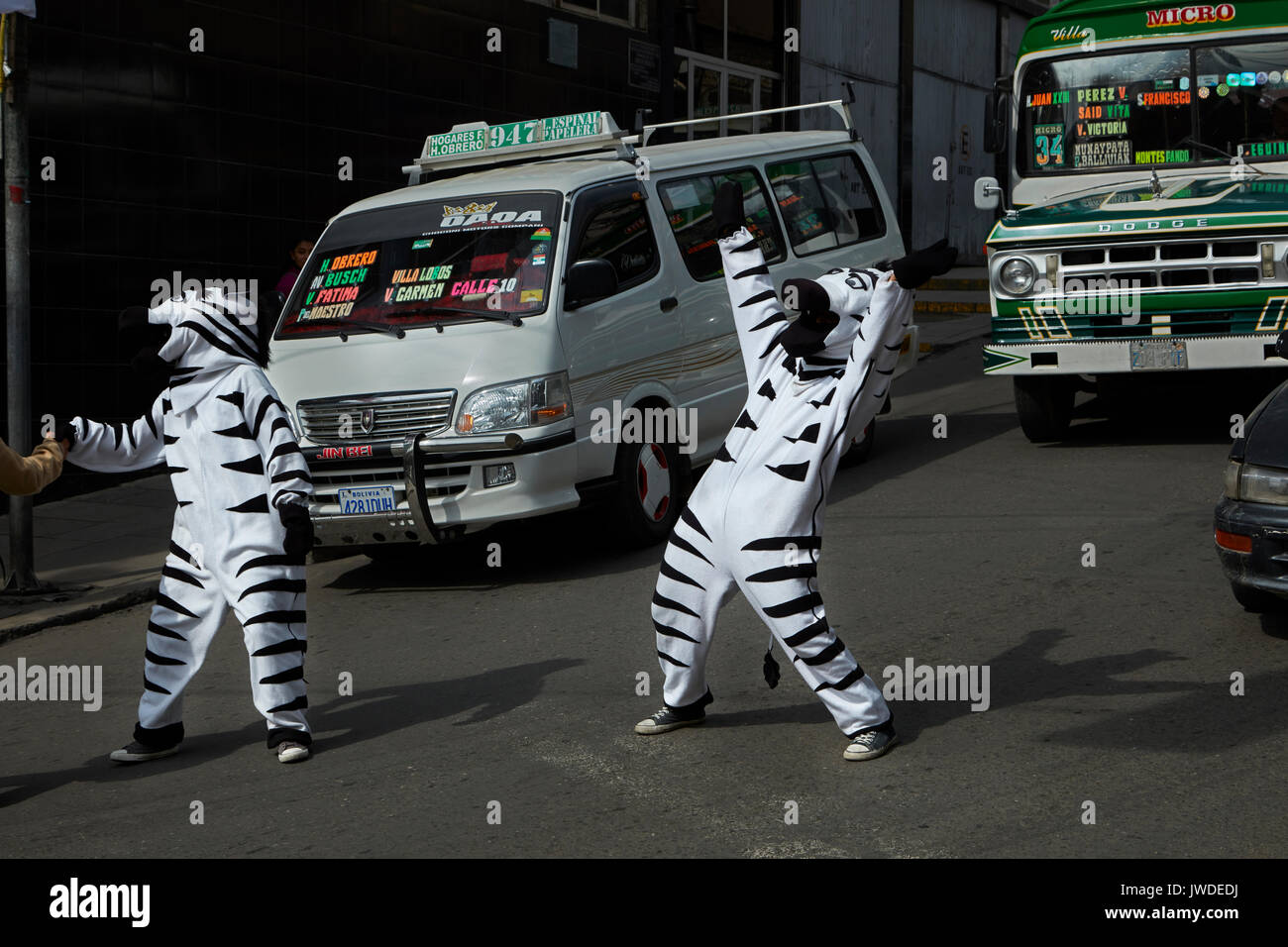 Cebras tráfico ayudando a los peatones a cruzar la calle, La Paz, Bolivia, América del Sur Foto de stock