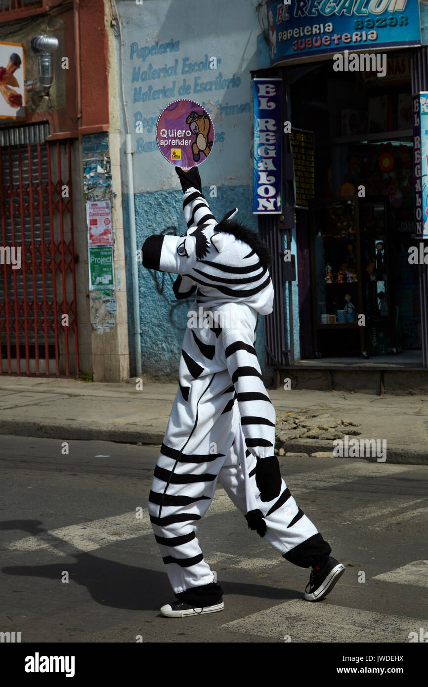 Cebras tráfico ayudando a los peatones a cruzar la calle, La Paz, Bolivia, América del Sur Foto de stock