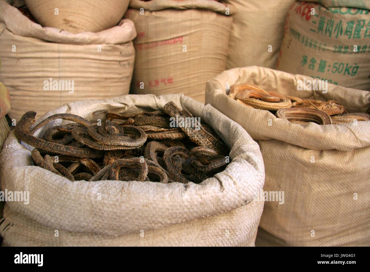 Secado reptiles en venta en Kashgar Foto de stock