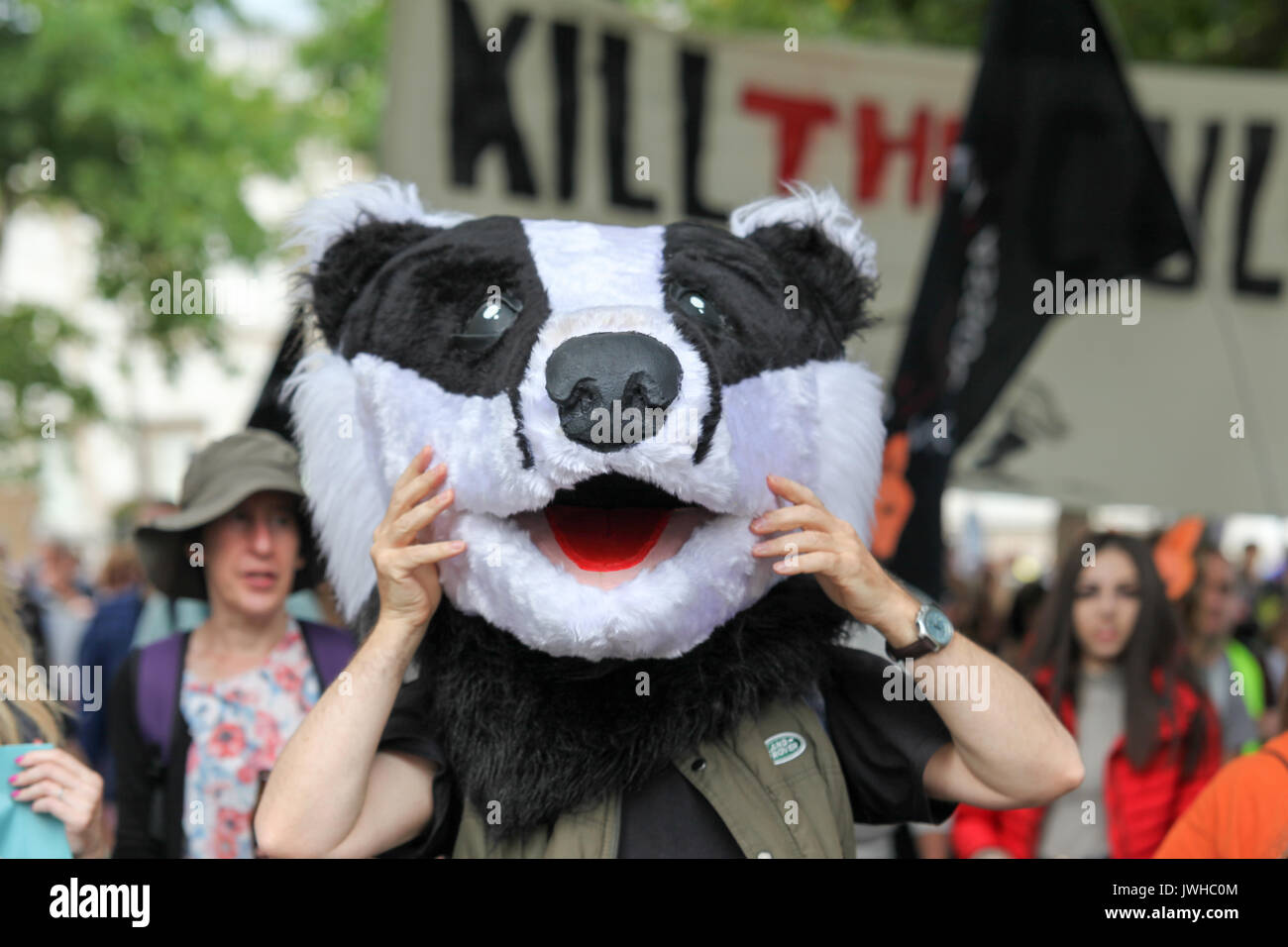 Londres, Reino Unido. 12 Aug, 2017. El tejón, la confianza, la historia de la caza y la atención de la coalición2 celebrar una protesta conjunta de marzo a Downing Street para llamar en el gobierno conservador para poner fin de inmediato a la política de sacrificio de tejón y fortalecer, en lugar de tratar la derogación de la Ley de Caza. Penelope Barritt/Alamy Live News Foto de stock