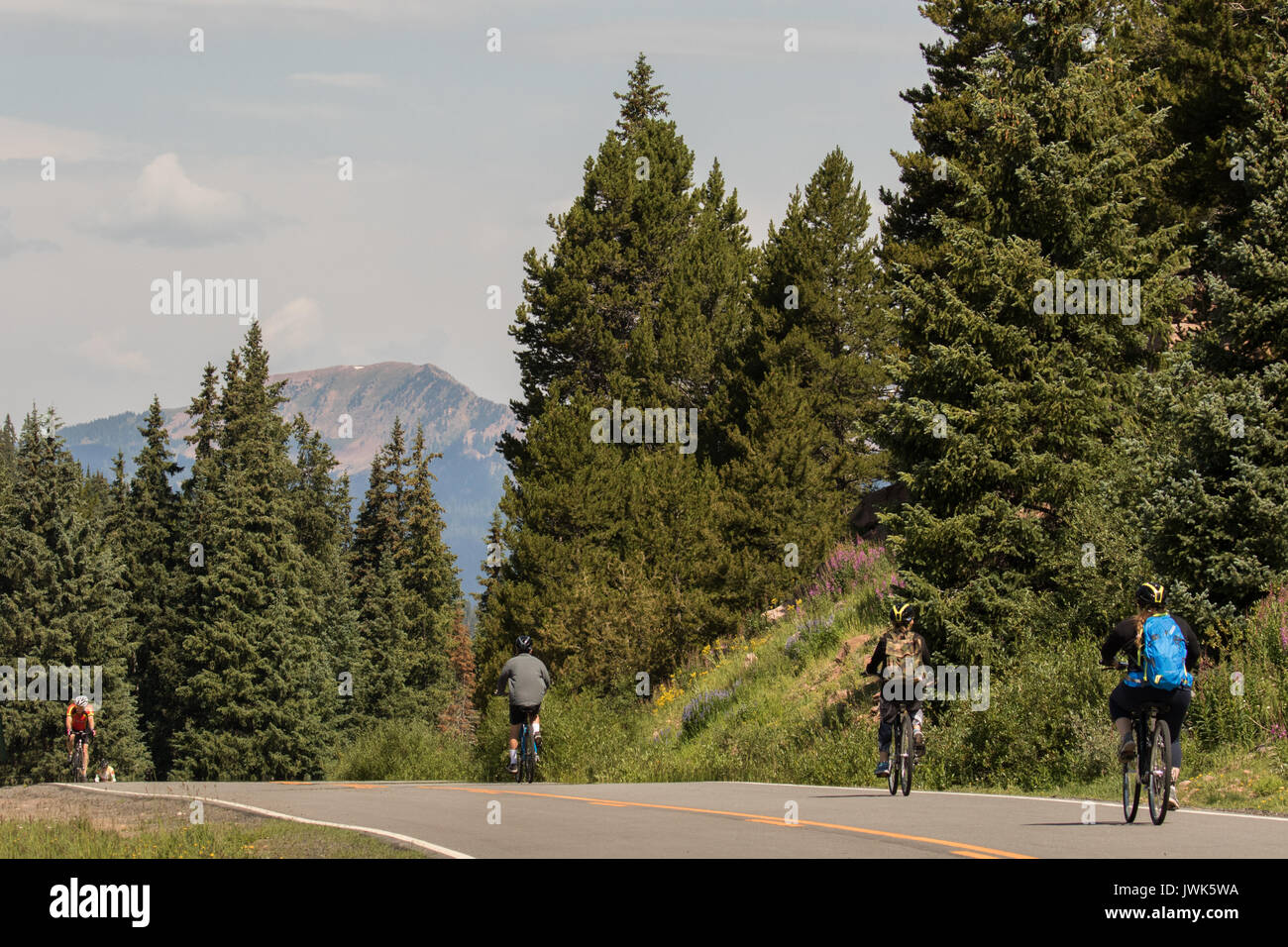 Ciclismo de montaña cerca de Vail Pass Colorado Foto de stock