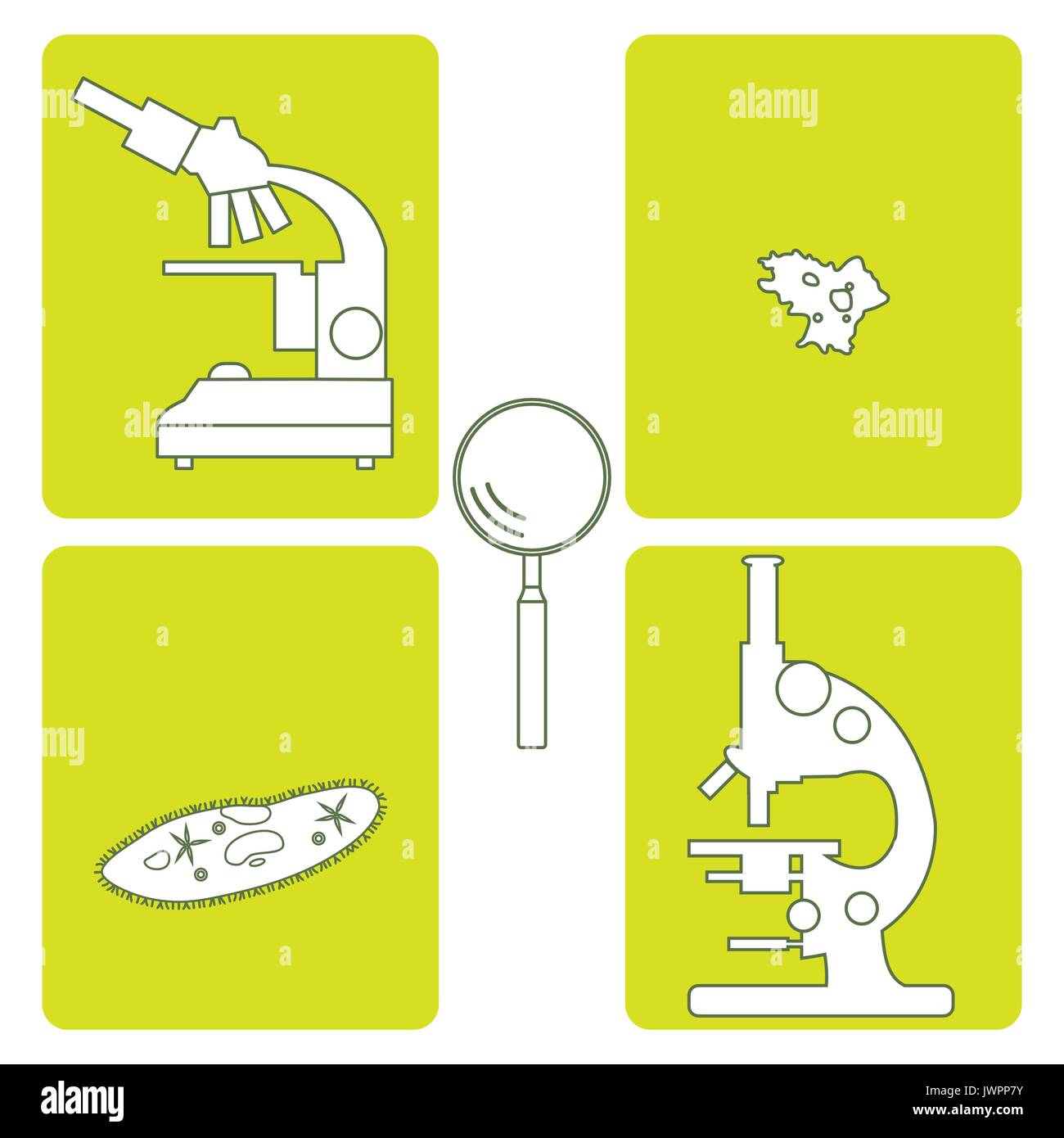 Iconos estilizados de microscopios, lupa, ameba, ciliados-zapatilla. Dispositivo de aumento signo. Símbolo de equipo de laboratorio. Ilustración del Vector