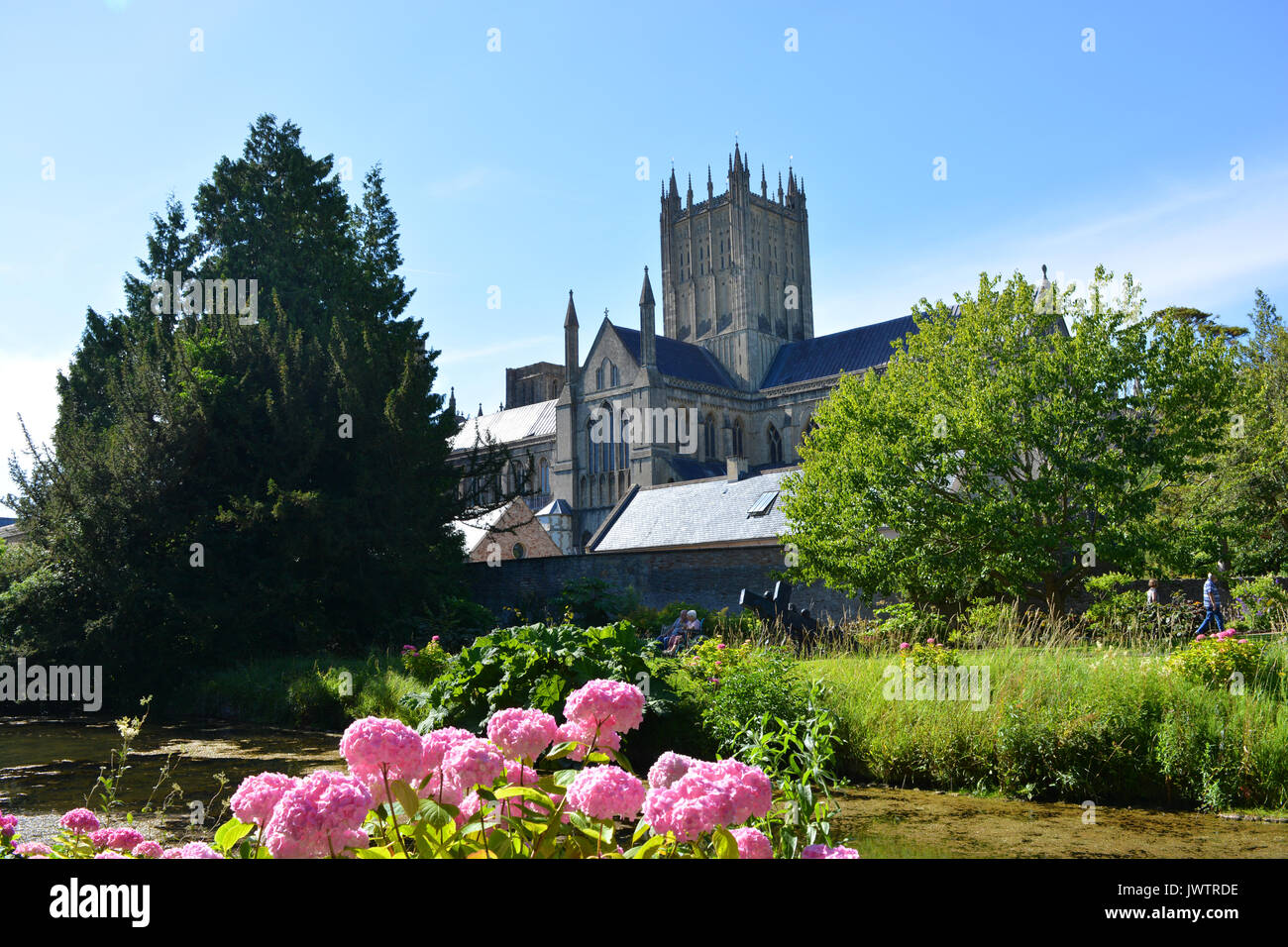 Vistas a la Catedral de pozos de los jardines del Palacio del Obispo, Wells, Somerset, Inglaterra Foto de stock