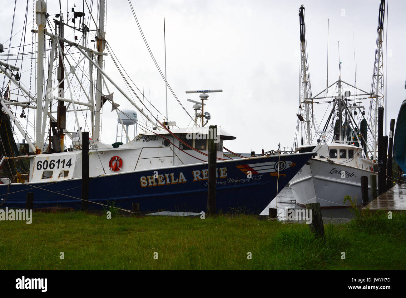 El puerto de Wanchese, en el extremo sur de la isla de Roanoke, todavía apoya una modesta flota pesquera comercial en las orillas exteriores de Carolina del Norte. Foto de stock