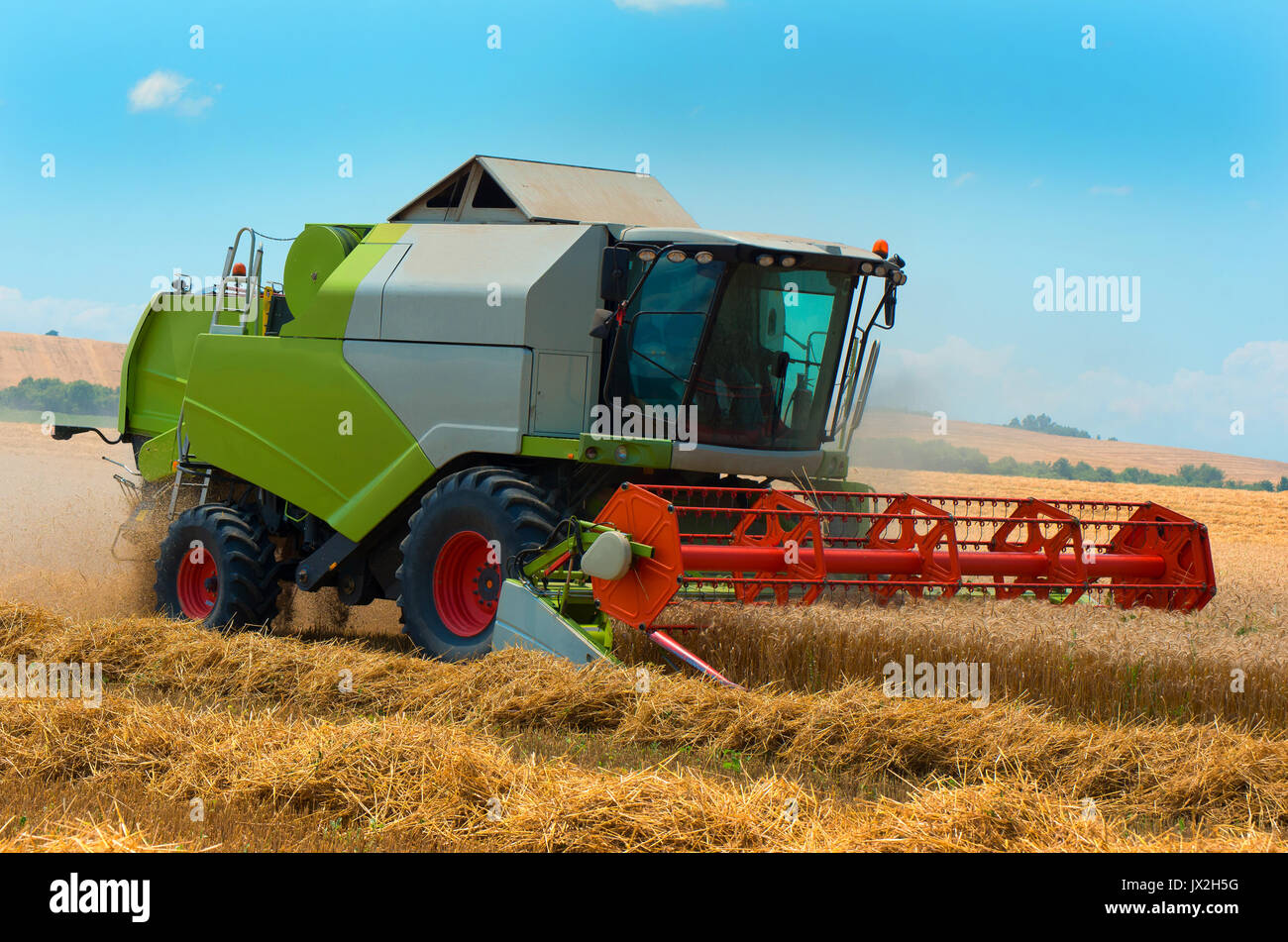 Máquina cosechadora para cosechar trigo de trabajo en el campo. La agricultura Foto de stock