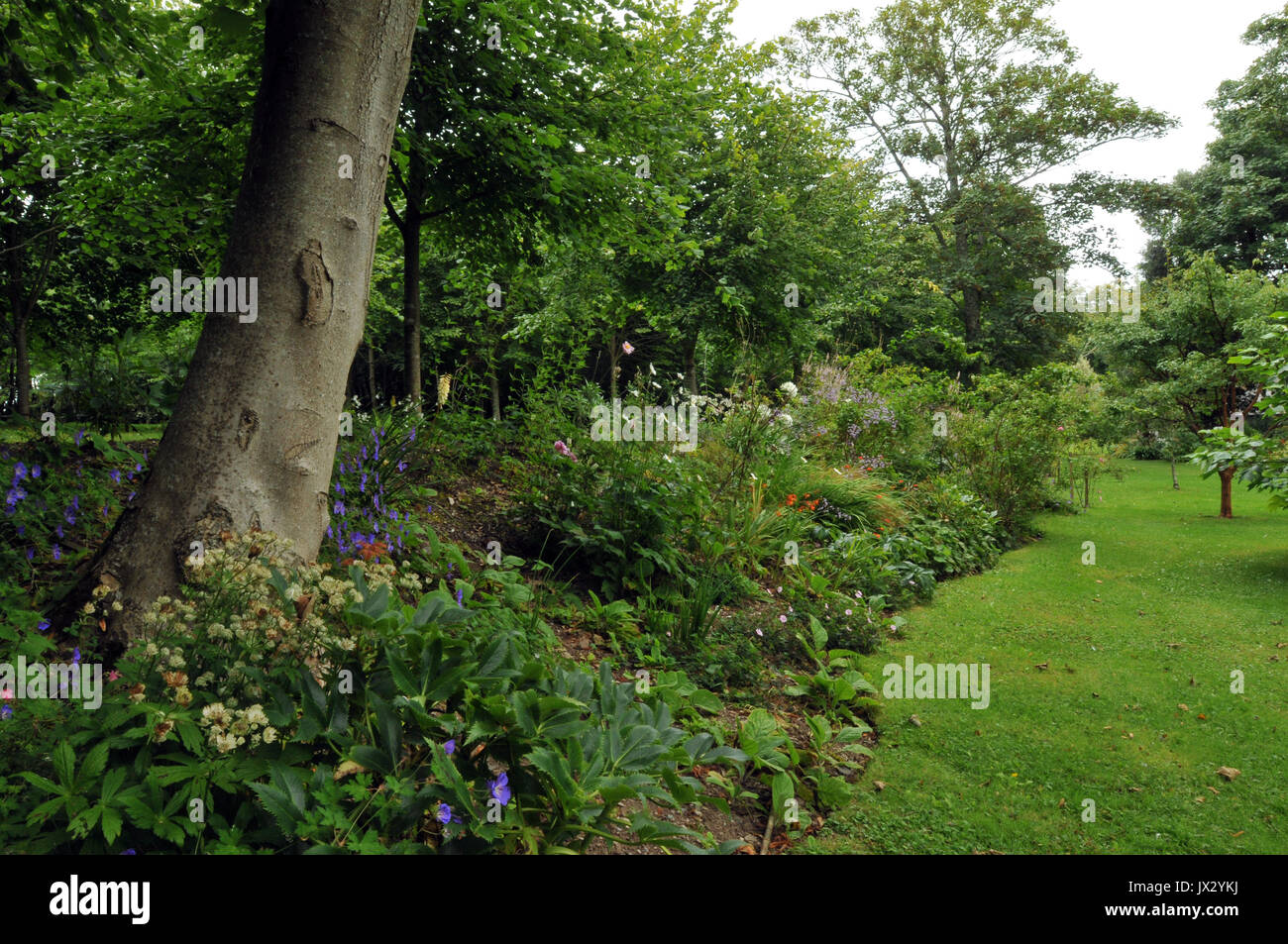 Los jardines y avenidas de árboles en Prideaux Place manor house en Padstow, en el norte de la costa de Cornish. Foto de stock