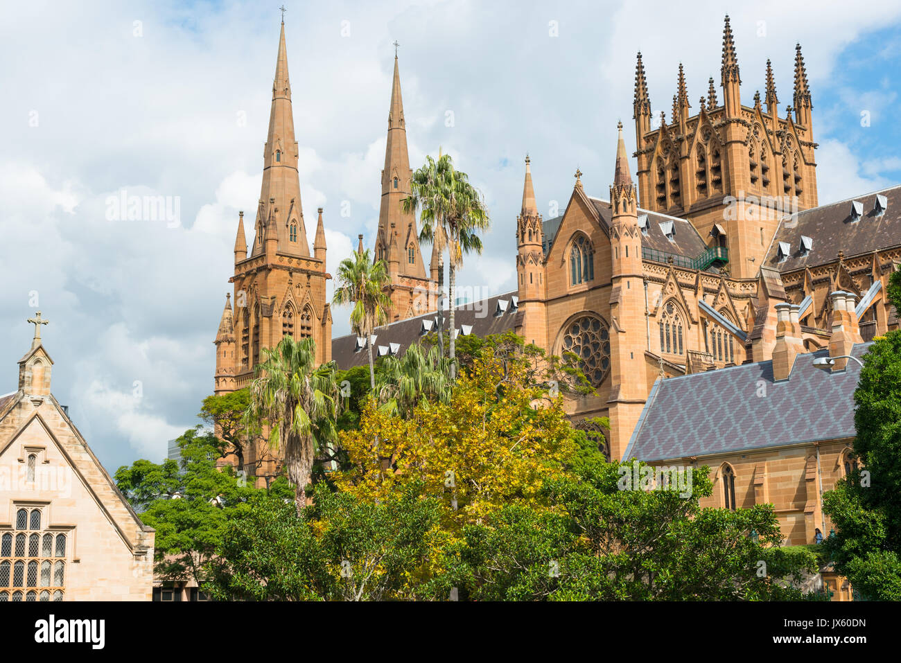 La Catedral de St Mary's College Street, Sydney, New South Wales, NSW, Australia. Foto de stock