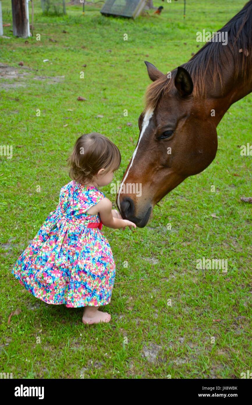 Alimentar a un niño pequeño y hablando con un caballo. Foto de stock