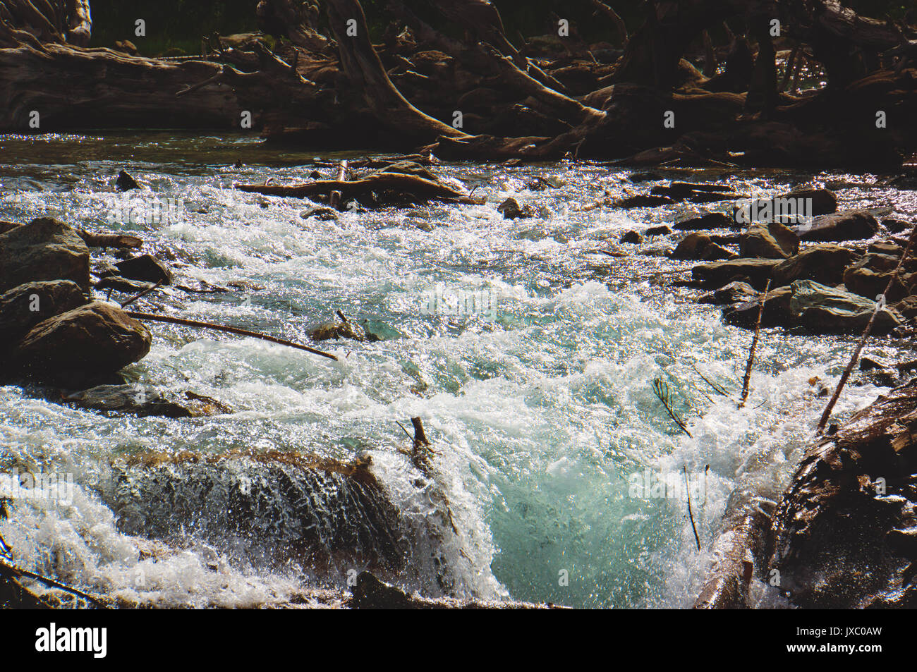 Tormentoso río de montaña. pura agua de deshielo en el flujo de agua en el río Foto de stock