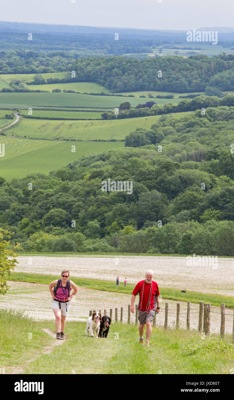 Caminantes en el camino entre los South Downs Downs y Lápiz Harting Hill, West Sussex, Inglaterra, Reino Unido. Foto de stock