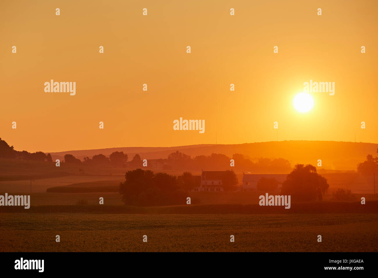 Salida del sol de verano en el país amish, pájaro en mano, el condado de Lancaster, Pennsylvania, EE.UU. Foto de stock