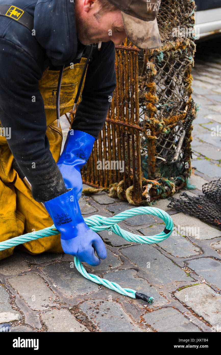 Pescador empalmando cuerdas nuevas para las redes de pesca. Puerto de Pittenweem frente al mar. Fife Reino Unido Escocia Foto de stock