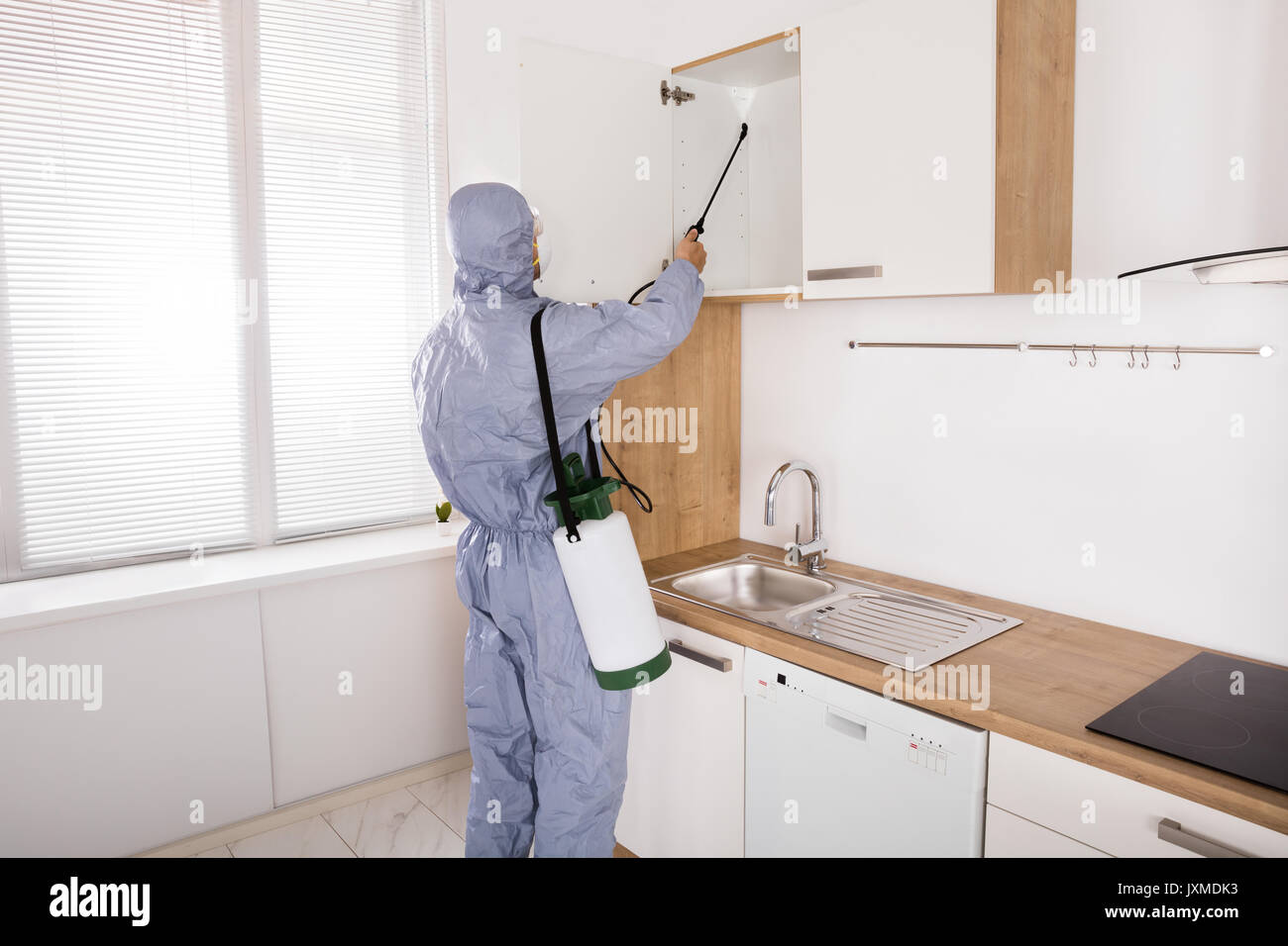 Trabajador de control de plagas en ropa de trabajo de fumigar con pesticidas en la estantería en la cocina Foto de stock