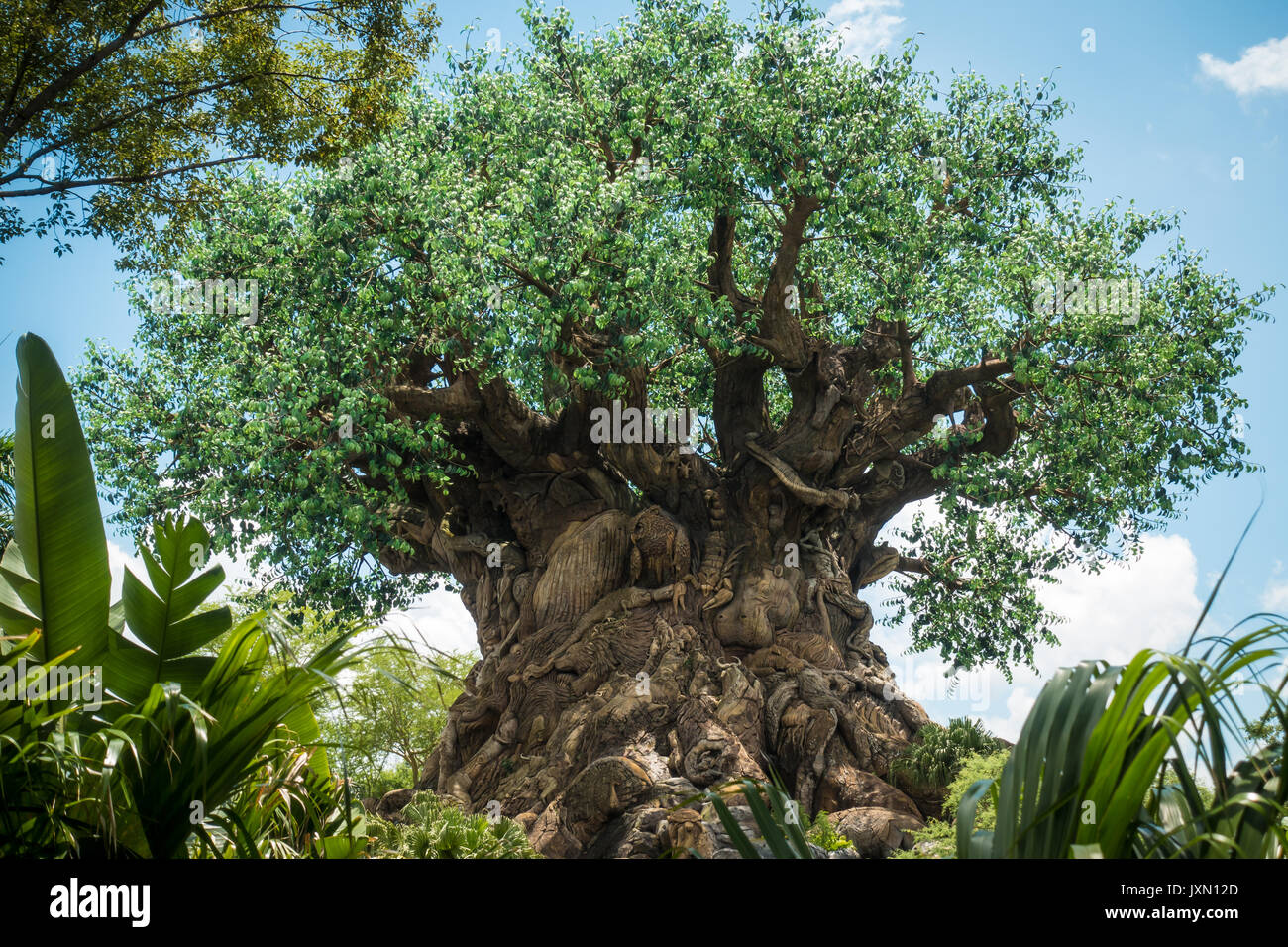 Árbol de la vida en disneys Animal Kingdom Theme Park, Orlando, Florida. Foto de stock