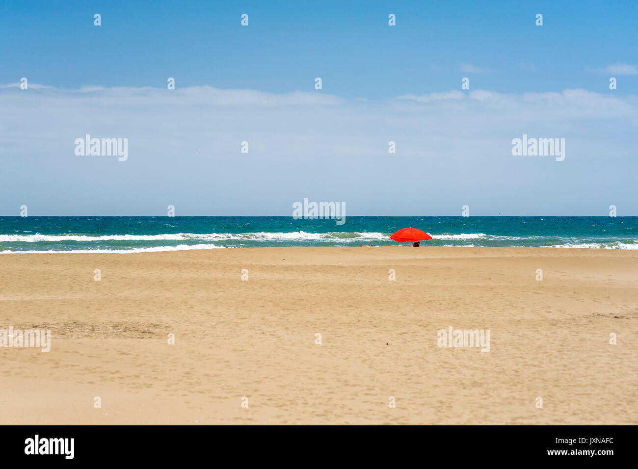 Eucaliptus playa, delta del Ebro, España 2017 Foto & Imagen De Stock