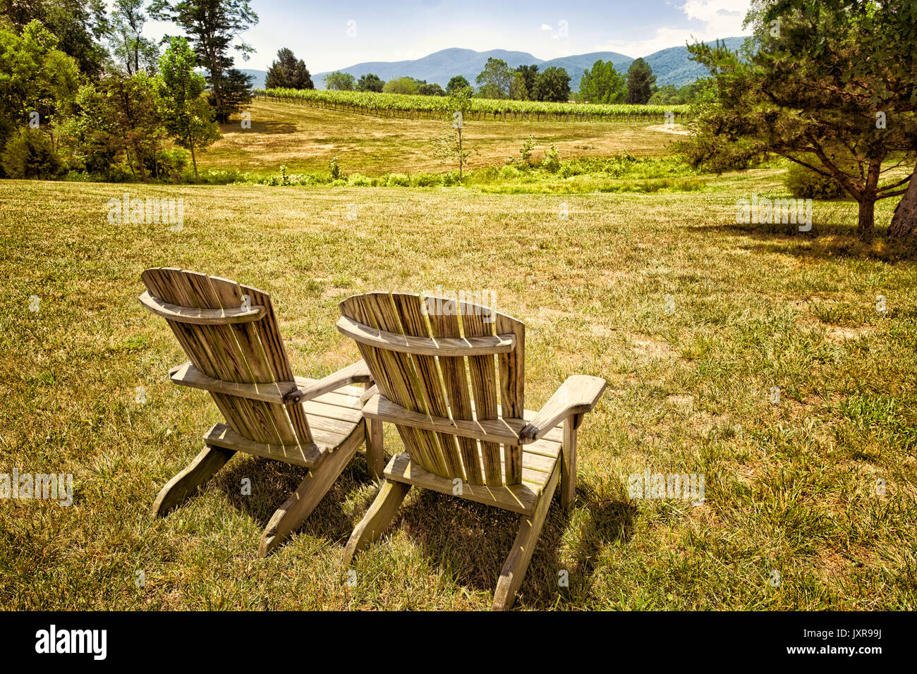 Par de sillas Adirondack mirando un viñedo con vistas al paisaje. Ubicación: Blue Ridge Mountains, Virginia Foto de stock