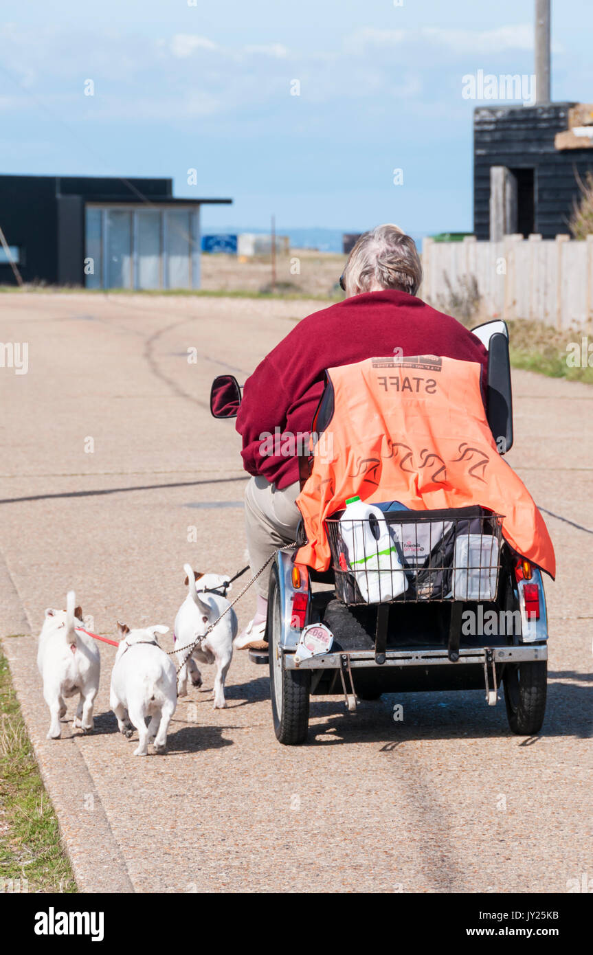 Mujer el ejercicio de los perros de su scooter de movilidad. Foto de stock