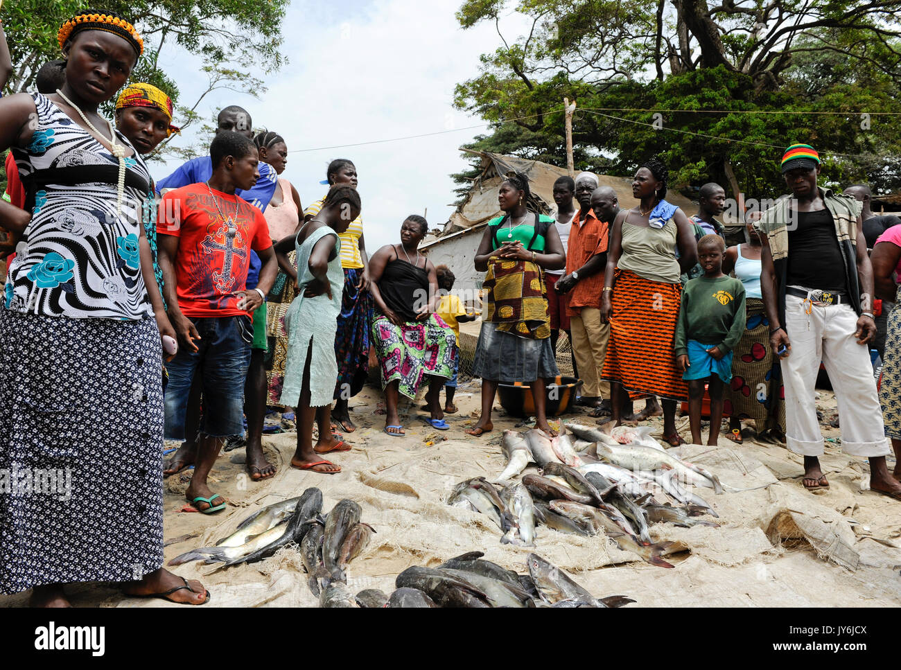 SIERRA LEONA, Tombo, mercado de pescado, la seguridad alimentaria y el sustento de los pequeños pescadores de la costa están afectados por la sobreexplotación de los mares por grandes flotas internacionales arrastrero Foto de stock