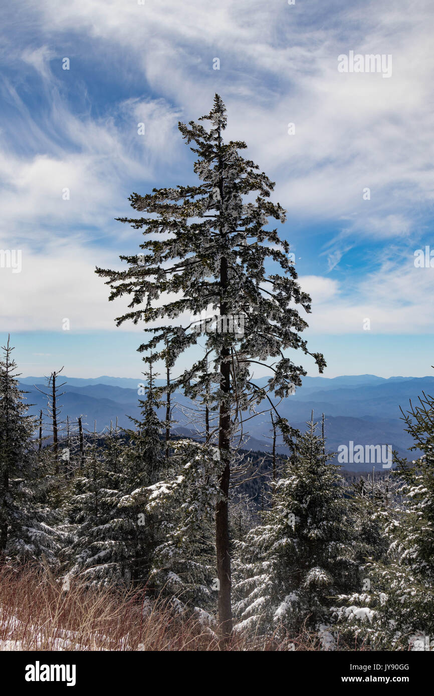 Paisaje invernal en el Parque Nacional Great Smoky Mountains National Park Foto de stock