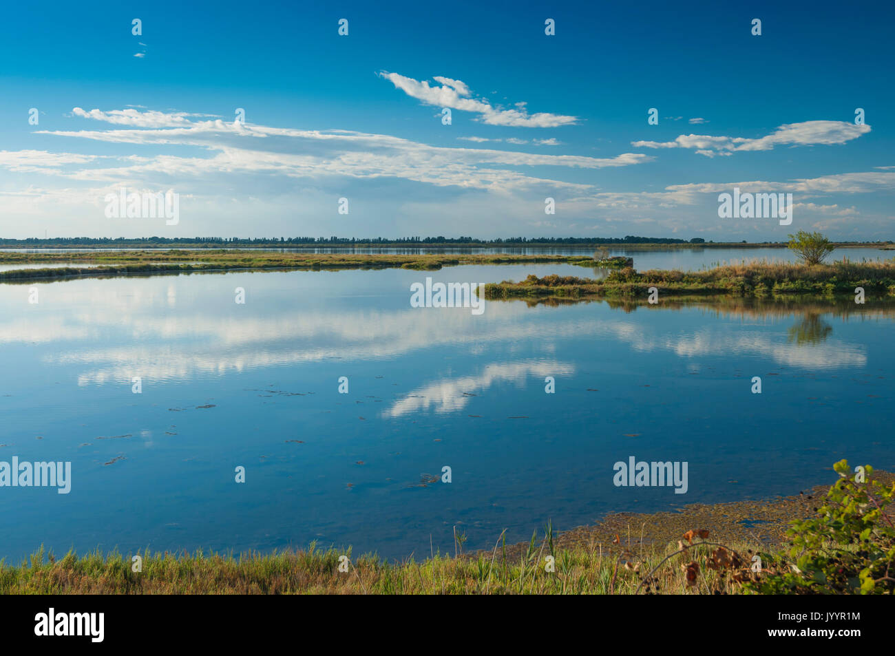 El paisaje de la laguna en el delta del Po river national park, Mar Adriático, Rosolina, Rovigo, Italia. Adoptada el 12 de agosto de 2017. Foto de stock