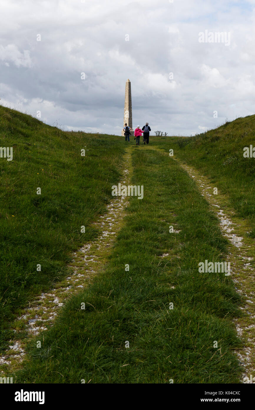 Monumento en Lansdowne Cherhill downs, Wiltshire, UK Foto de stock