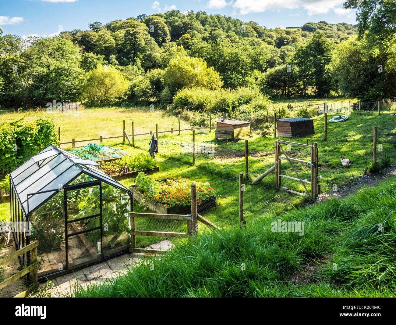 Un pequeño huerto y gallinero en Somerset. Foto de stock