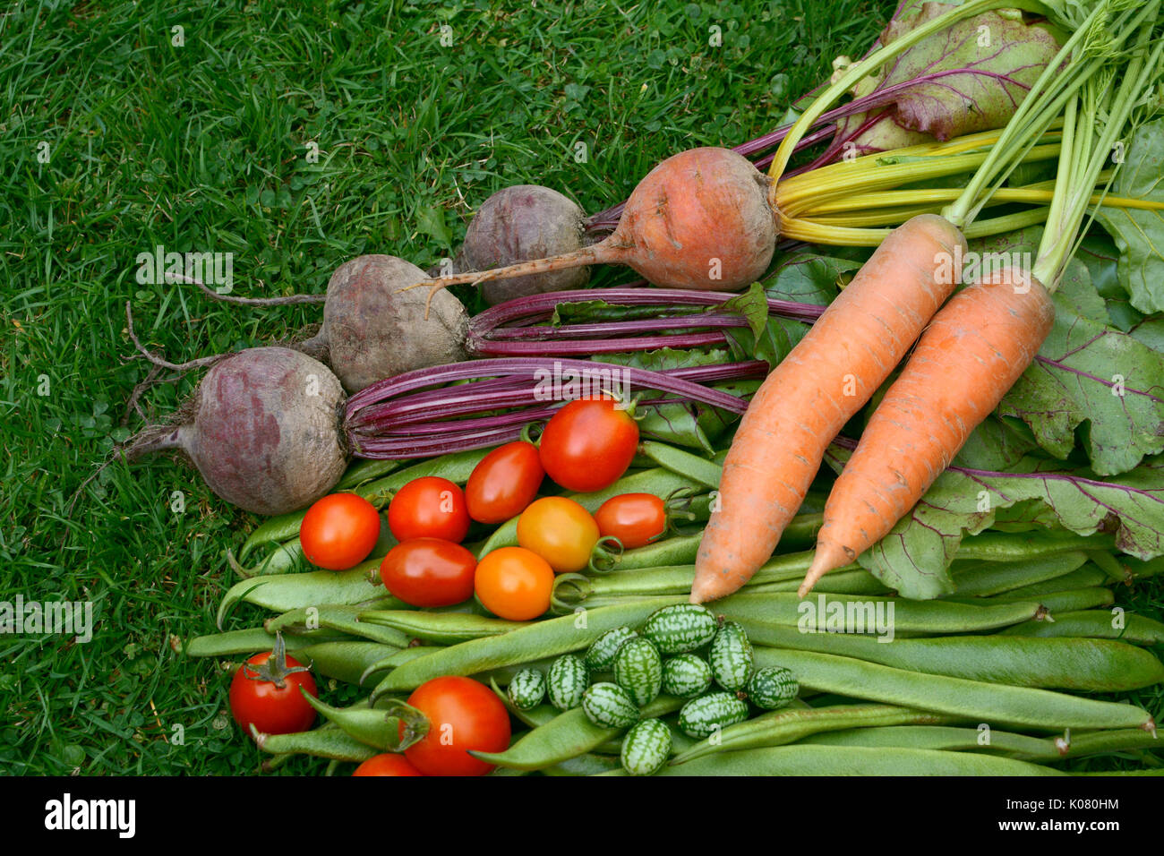 Las verduras frescas del jardín, zanahoria, remolacha, tomate, fríjol y pepquino dispuestas en el césped Foto de stock