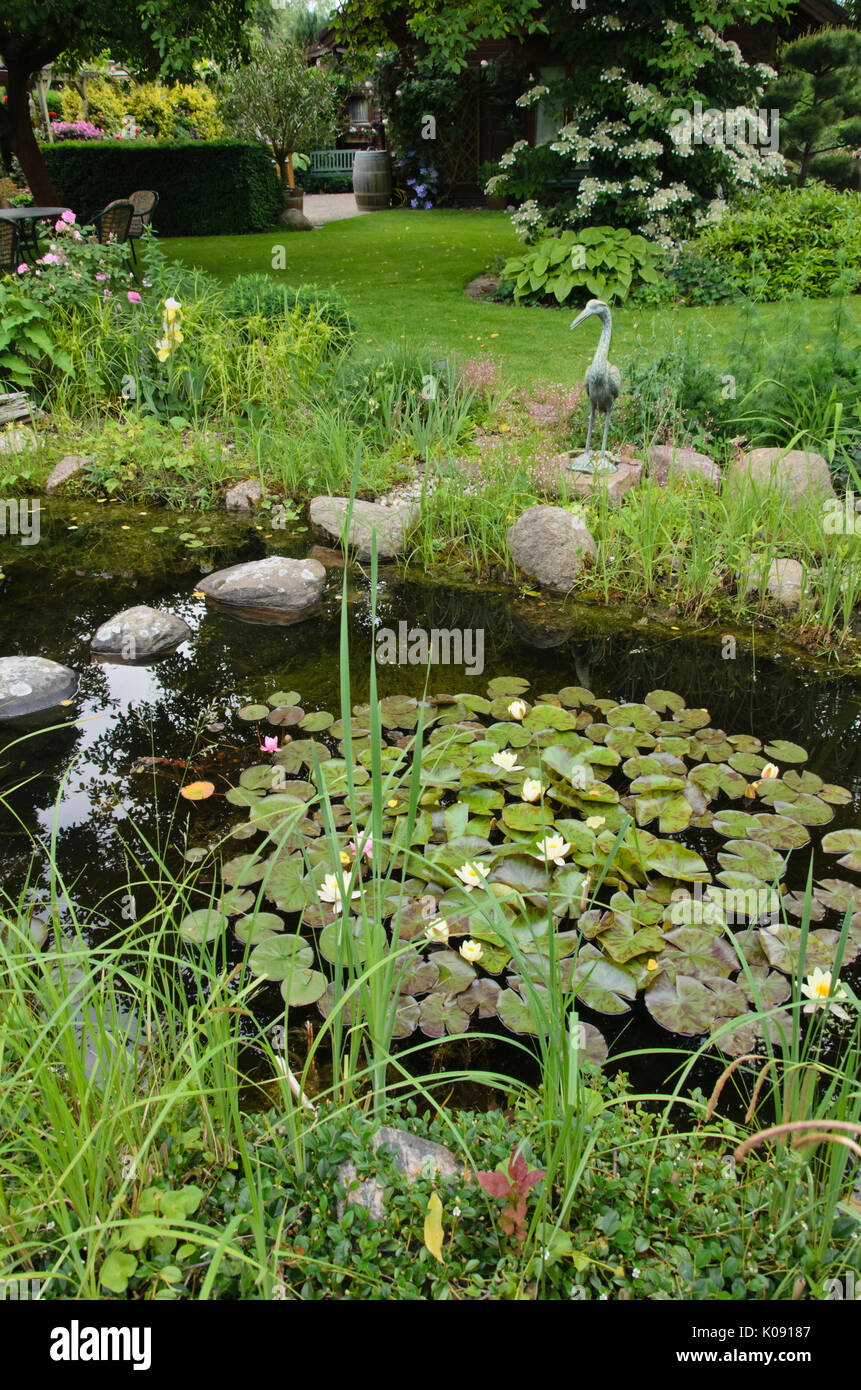 Jardín con estanque de nenúfares (Nymphaea). diseño: Marianne y detlef lüdke Foto de stock