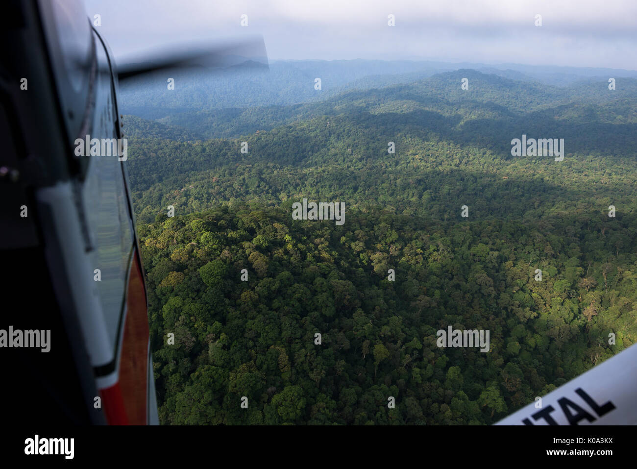 Aviones ultraligeros volando sobre la selva tropical del Atlántico Foto de stock