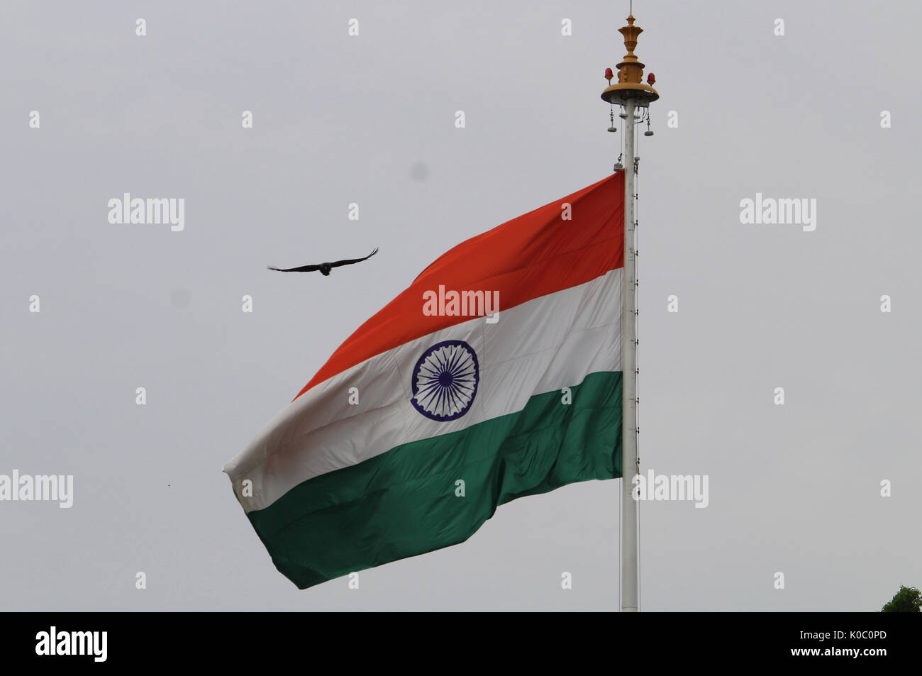 La bandera de la India Foto de stock
