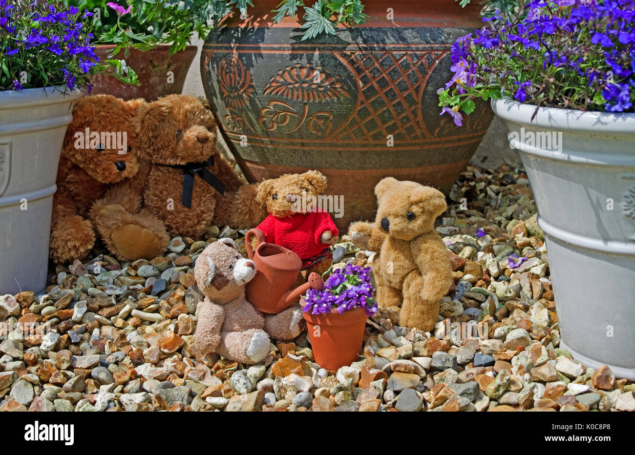 Jardín tableau de 3 pequeños teddies mini regar una maceta de barro con mini regadera, observados en el fondo por 2 grandes osos de peluche. Foto de stock