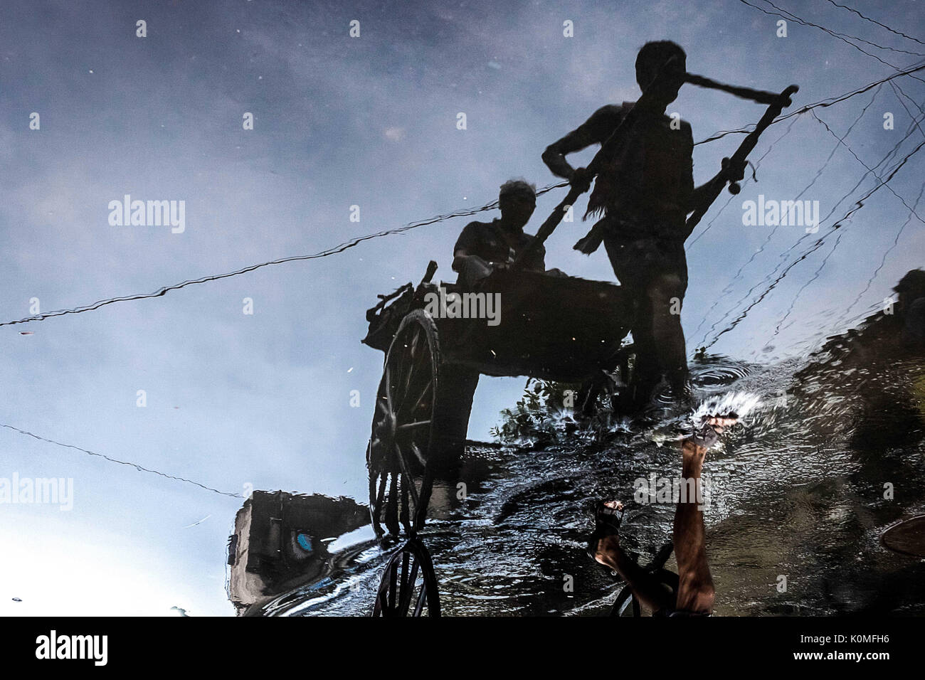 La reflexión de la mano de rickshaw tirado, en Kolkata, Bengala occidental, India, Asia Foto de stock