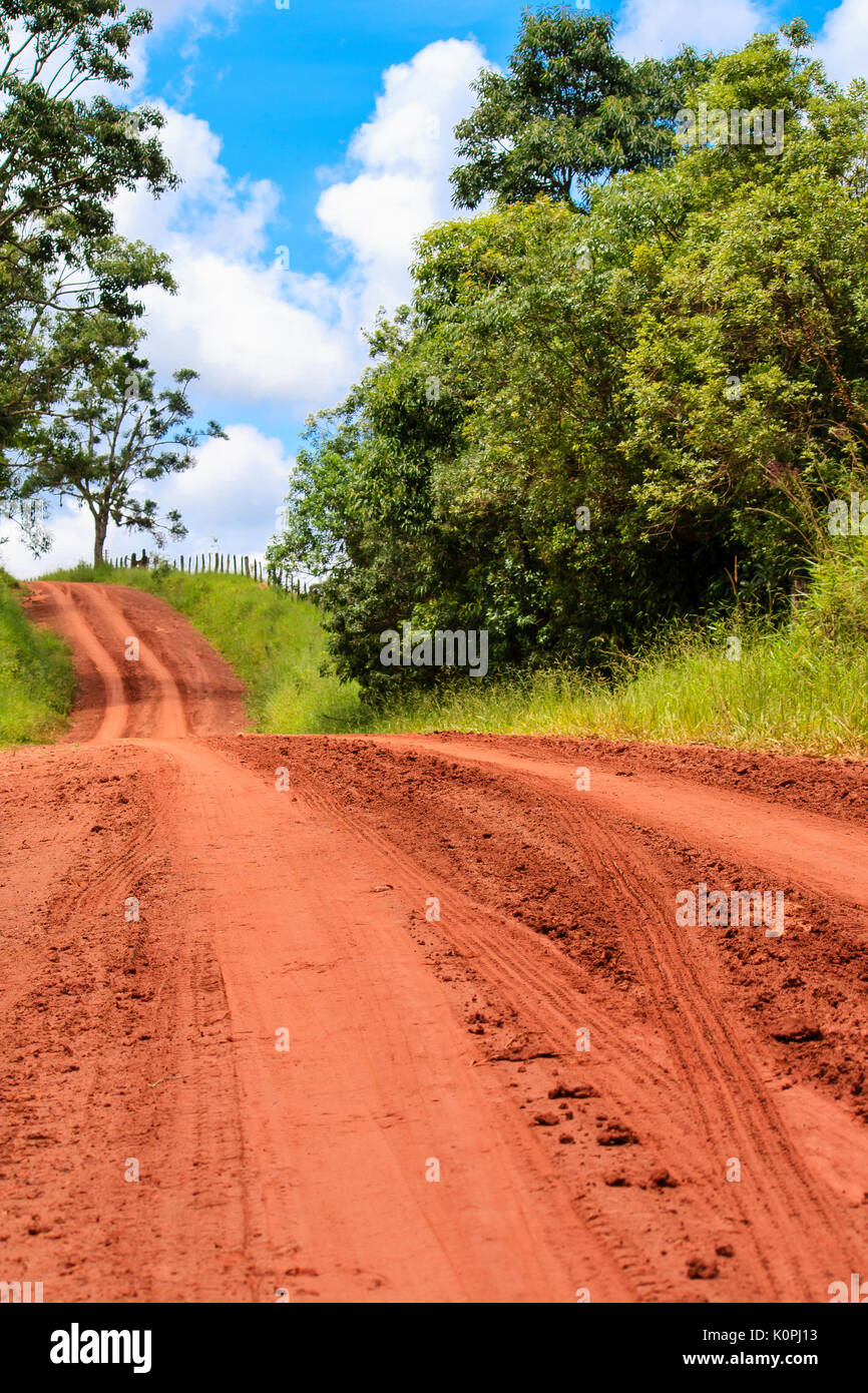 Camino de tierra vía con la tierra desnuda superficie roja, con visibles  marcas de pista de los neumáticos del vehículo que pasa a través de la  campiña bosque contra un cielo azul