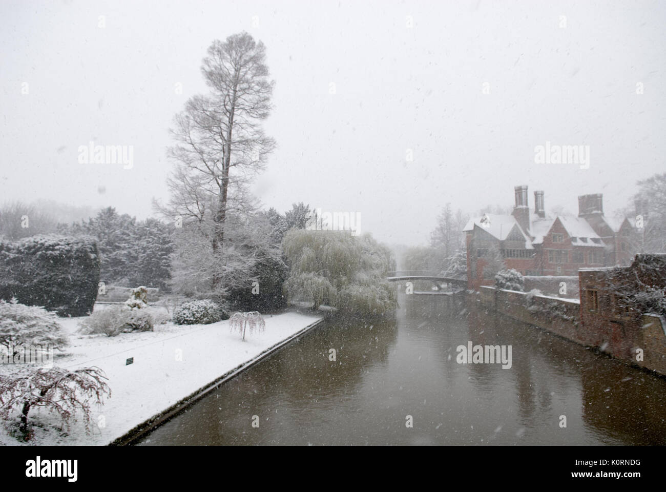 Los respaldos, Río Cam en el Clare College de Cambridge en la nieve. Foto de stock