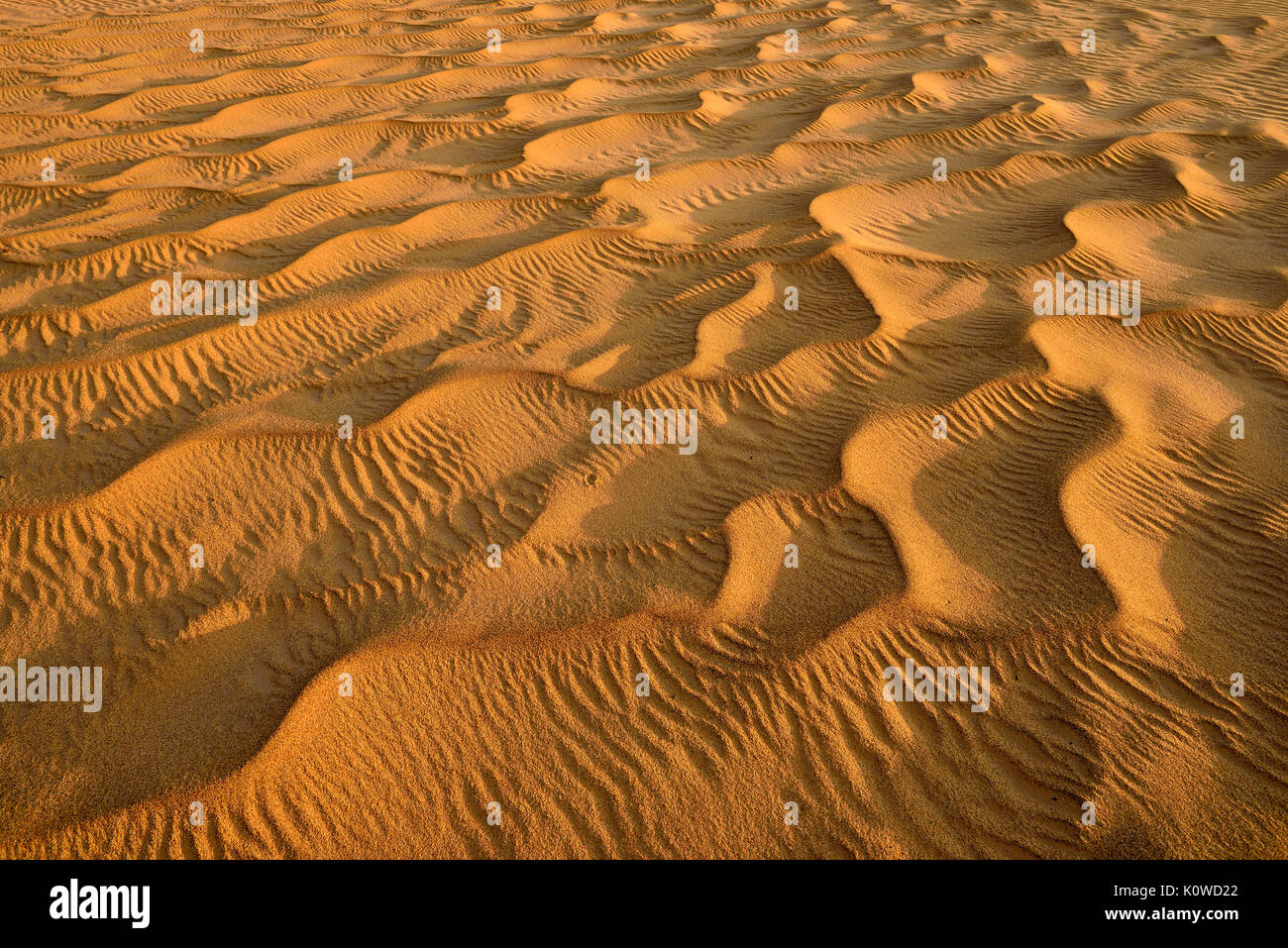 Las ondulaciones de la arena del desierto al Khaluf sanddunes, Sharqiya, Omán, Arabia Foto de stock