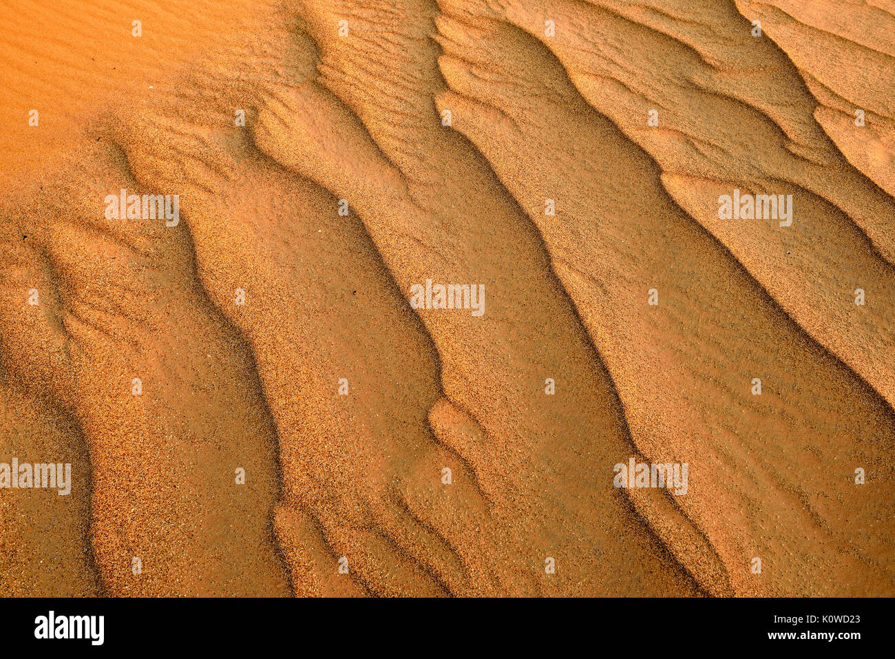 Las ondulaciones de la arena del desierto al Khaluf sanddunes, Omán, Arabia Foto de stock